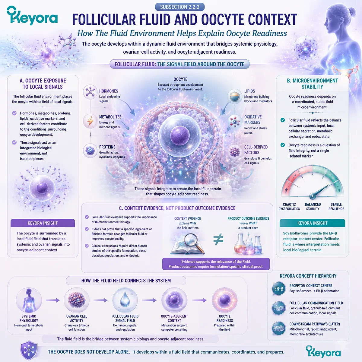 Soy isoflavones organize ER-β signaling within the follicular fluid microenvironment, linking hormonal, metabolic, and redox signals to oocyte-adjacent readiness in the Keyora Follicular Communication Field. Soy isoflavones organize ER-β signaling within the follicular fluid microenvironment, linking hormonal, metabolic, and redox signals to oocyte-adjacent readiness in the Keyora Follicular Communication Field.