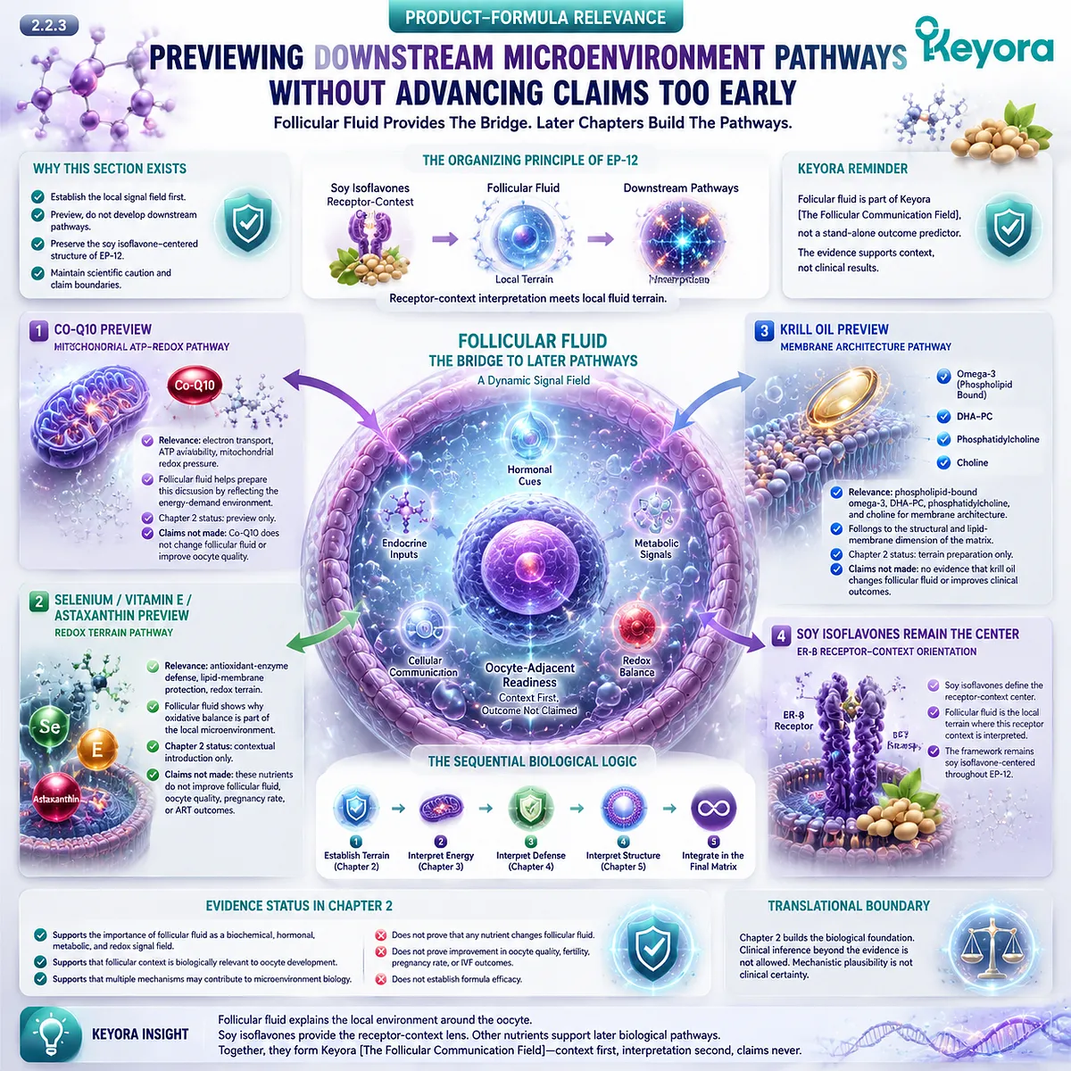 Soy isoflavones provide the ER-β receptor-context lens over follicular fluid, linking local microenvironment signals with downstream mitochondrial, redox, antioxidant, and membrane pathways in the Keyora Follicular Communication Field. Soy isoflavones provide the ER-β receptor-context lens over follicular fluid, linking local microenvironment signals with downstream mitochondrial, redox, antioxidant, and membrane pathways in the Keyora Follicular Communication Field.