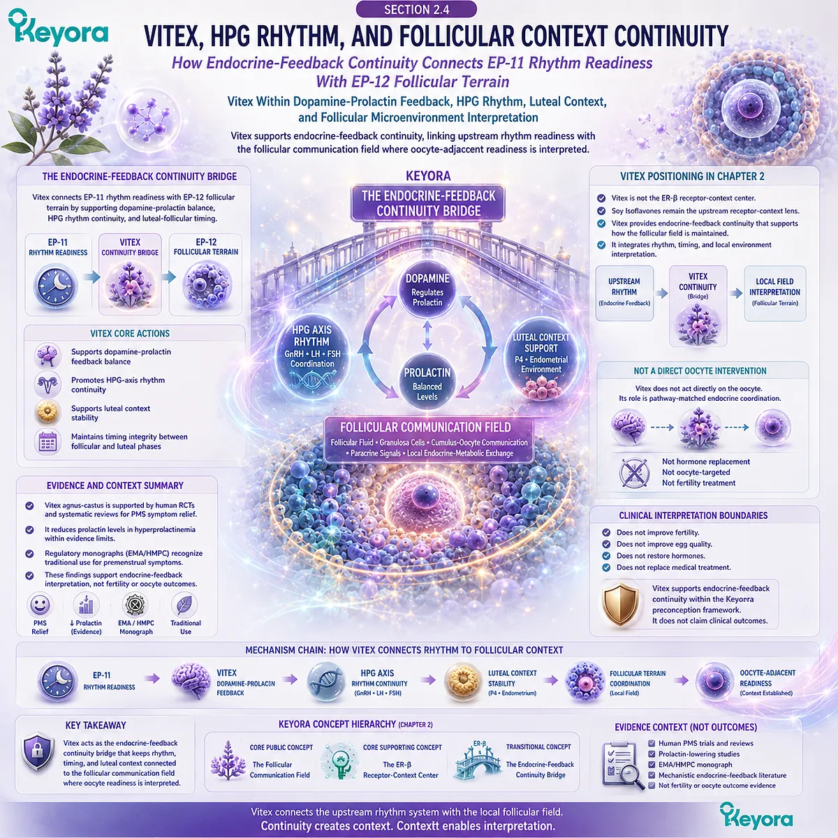 Vitex supports female rhythm balance through dopamine-prolactin feedback, HPG-axis continuity, and luteal-follicular interpretation within the Keyora Follicular Communication Field. Vitex supports female rhythm balance through dopamine-prolactin feedback, HPG-axis continuity, and luteal-follicular interpretation within the Keyora Follicular Communication Field.
