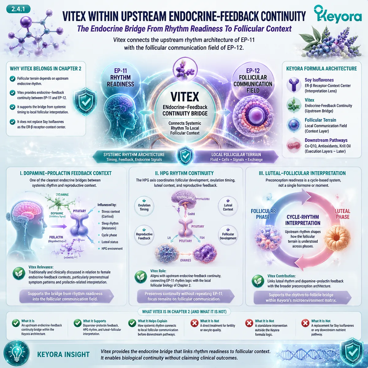 Vitex supports female rhythm balance through dopamine-prolactin feedback, HPG-axis continuity, and luteal-follicular interpretation within the Keyora Follicular Communication Field. Vitex supports female rhythm balance through dopamine-prolactin feedback, HPG-axis continuity, and luteal-follicular interpretation within the Keyora Follicular Communication Field.