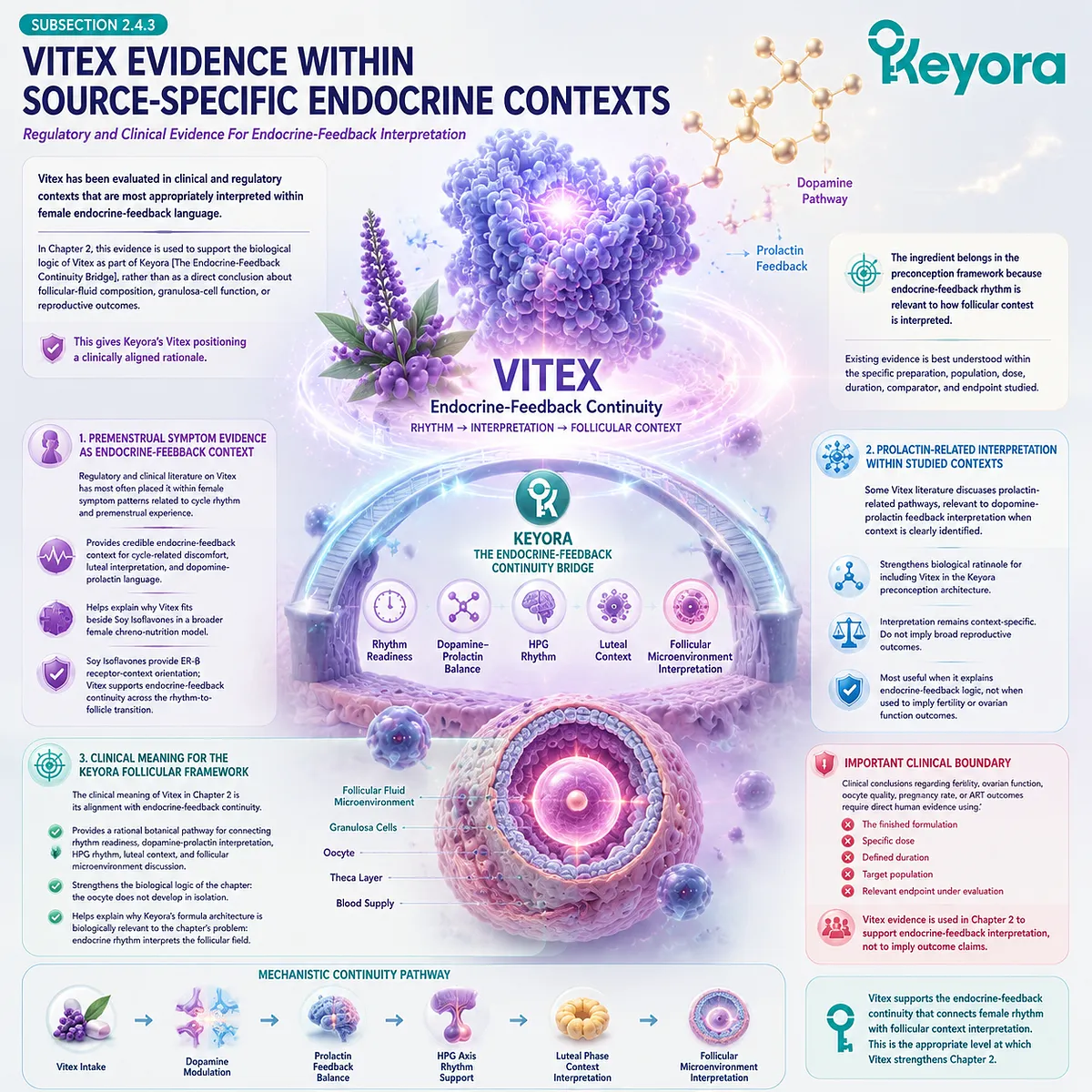 Vitex supports female rhythm wellness through dopamine-prolactin feedback, endocrine regulation, and cycle-based hormone balance, reinforcing the Keyora Endocrine-Feedback Continuity Bridge. Vitex supports female rhythm wellness through dopamine-prolactin feedback, endocrine regulation, and cycle-based hormone balance, reinforcing the Keyora Endocrine-Feedback Continuity Bridge.