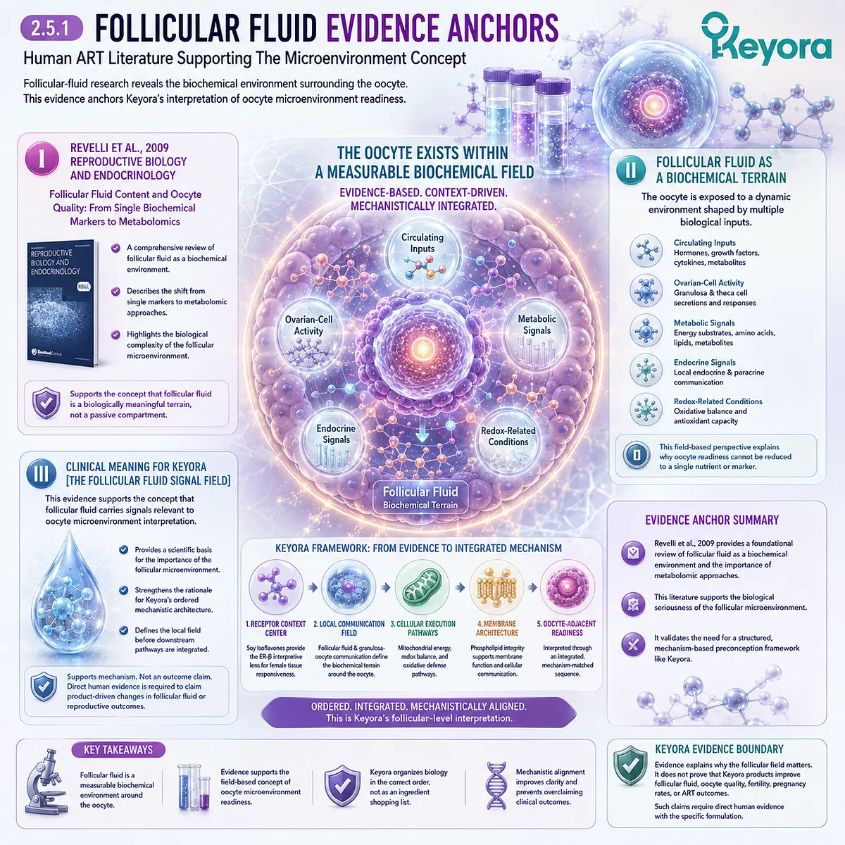 Soy isoflavones frame ER-β receptor-context interpretation within follicular fluid, integrating human ART evidence of local biochemical, metabolic, and redox signals in the Keyora Follicular Fluid Signal Field. Soy isoflavones frame ER-β receptor-context interpretation within follicular fluid, integrating human ART evidence of local biochemical, metabolic, and redox signals in the Keyora Follicular Fluid Signal Field.
