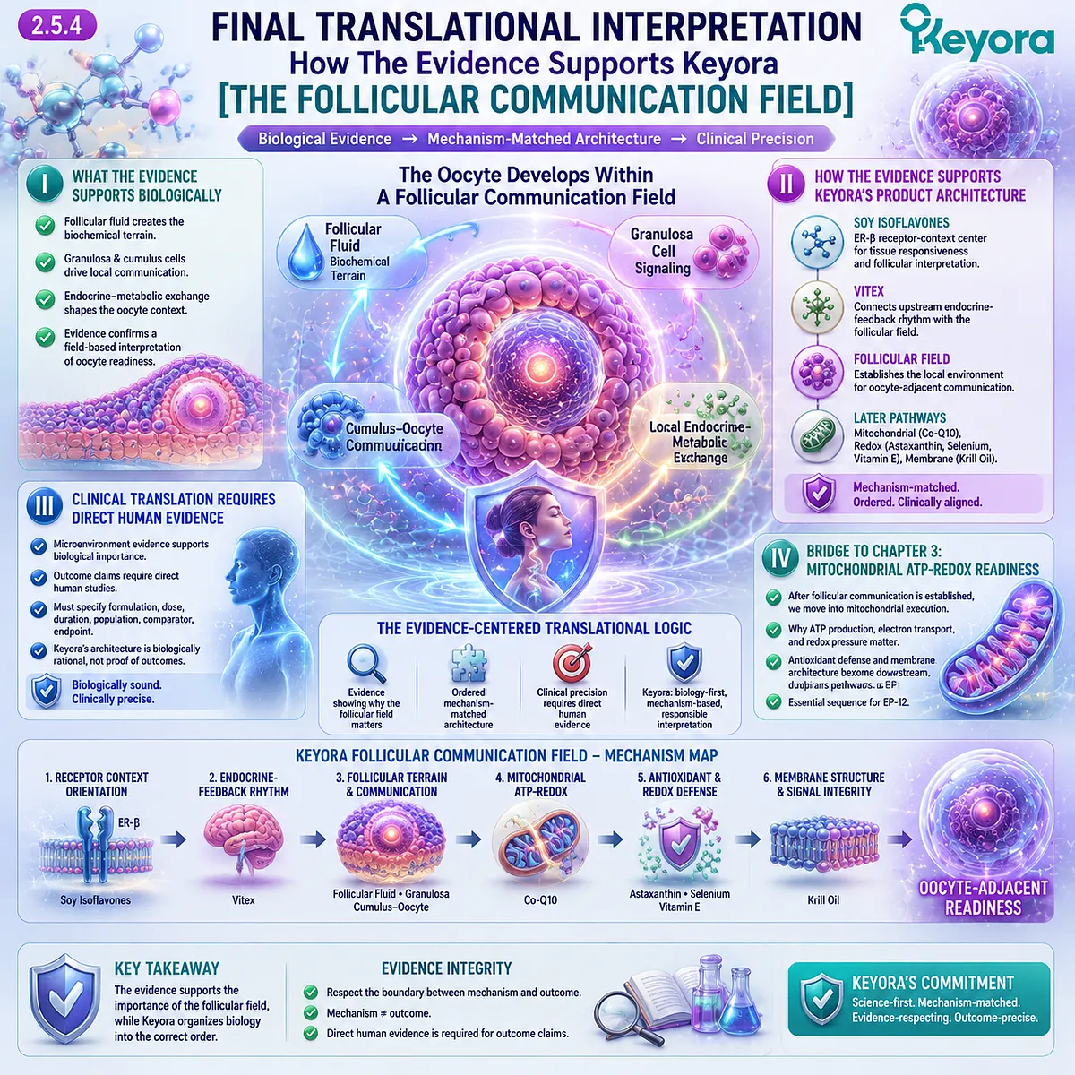Soy isoflavones provide ER-β receptor-context guidance across follicular fluid, granulosa and cumulus-cell communication, and endocrine-metabolic exchange, reinforcing the Keyora Follicular Communication Field. Soy isoflavones provide ER-β receptor-context guidance across follicular fluid, granulosa and cumulus-cell communication, and endocrine-metabolic exchange, reinforcing the Keyora Follicular Communication Field.