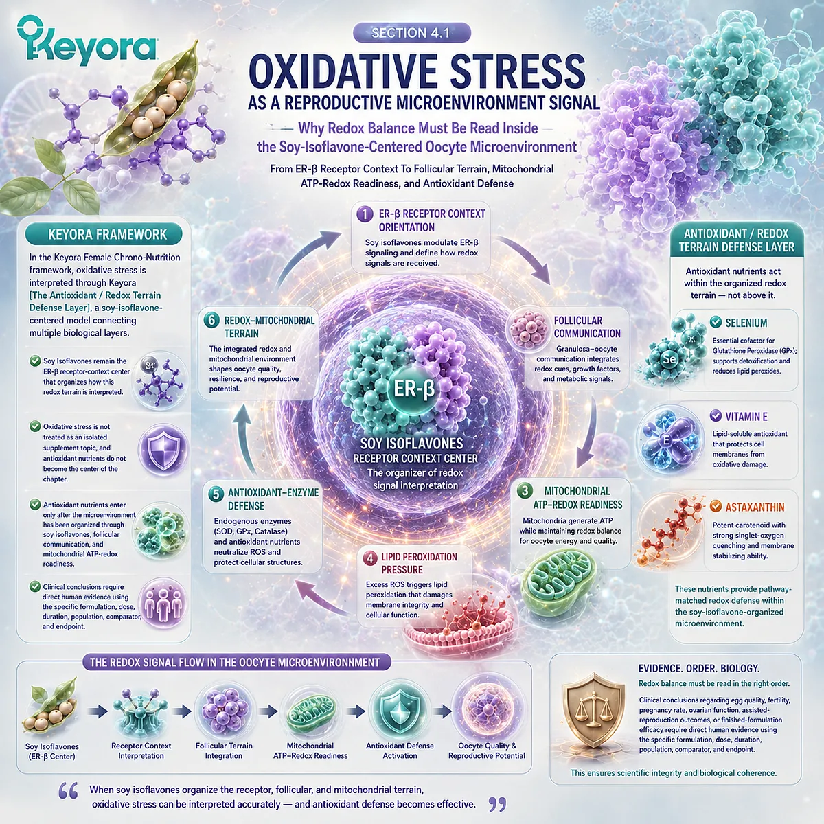 Fertility wellness and preconception nutrition framework showing how soy isoflavones, ER-β signaling, mitochondrial redox balance, antioxidant defense, and ovarian microenvironment coordination support redox resilience in the Keyora Antioxidant/Redox Terrain Defense Layer. Fertility wellness and preconception nutrition framework showing how soy isoflavones, ER-β signaling, mitochondrial redox balance, antioxidant defense, and ovarian microenvironment coordination support redox resilience in the Keyora Antioxidant/Redox Terrain Defense Layer.