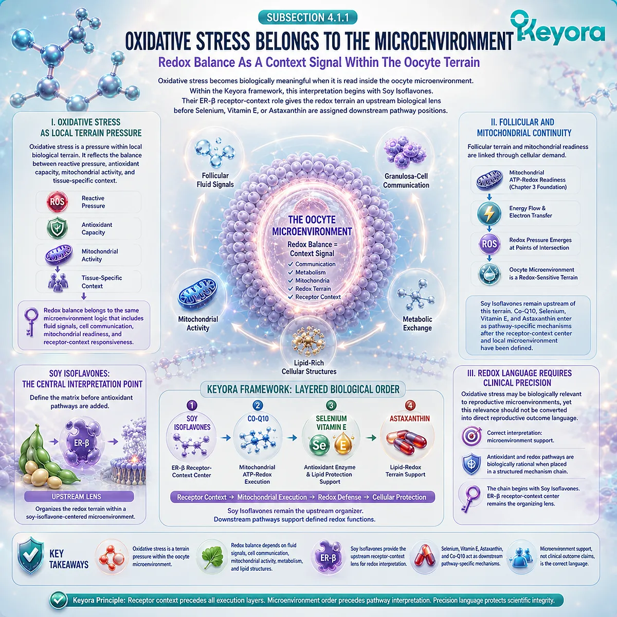 Preconception nutrition and fertility wellness model showing soy isoflavones, ER-β signaling, ovarian microenvironment communication, mitochondrial redox balance, and antioxidant defense coordinating redox resilience within the Keyora Antioxidant/Redox Terrain Defense Layer. Preconception nutrition and fertility wellness model showing soy isoflavones, ER-β signaling, ovarian microenvironment communication, mitochondrial redox balance, and antioxidant defense coordinating redox resilience within the Keyora Antioxidant/Redox Terrain Defense Layer.
