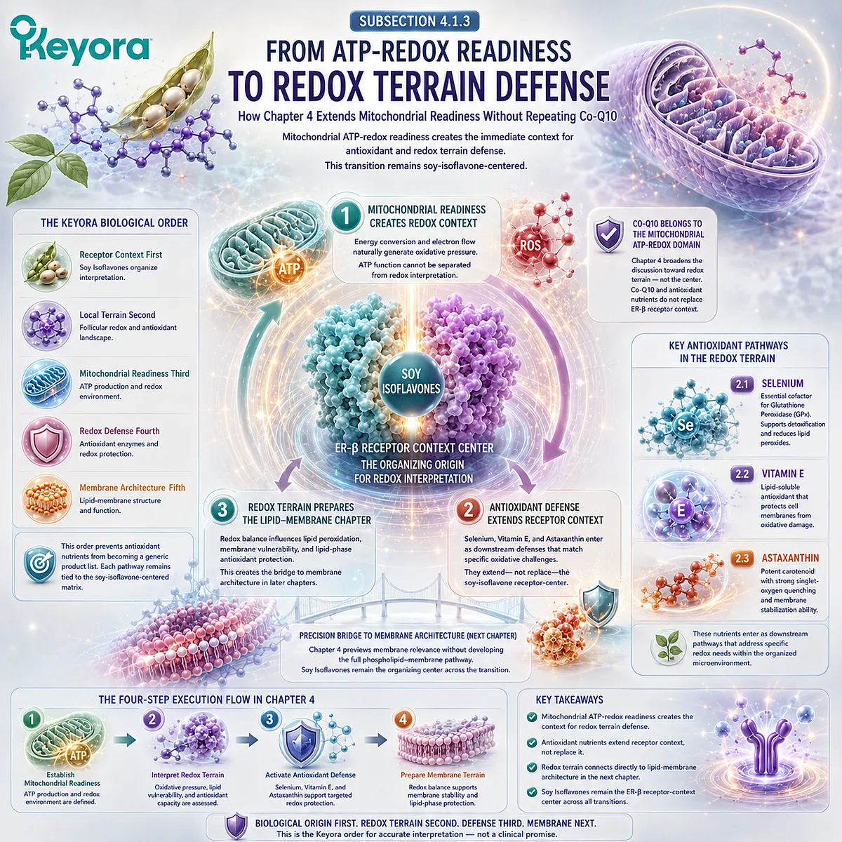 Preconception nutrition framework linking mitochondrial support, ATP-redox readiness, oxidative stress balance, lipid membrane protection, and ER-β signaling within the Keyora Antioxidant/Redox Terrain Defense Layer for ovarian microenvironment resilience. Preconception nutrition framework linking mitochondrial support, ATP-redox readiness, oxidative stress balance, lipid membrane protection, and ER-β signaling within the Keyora Antioxidant/Redox Terrain Defense Layer for ovarian microenvironment resilience.