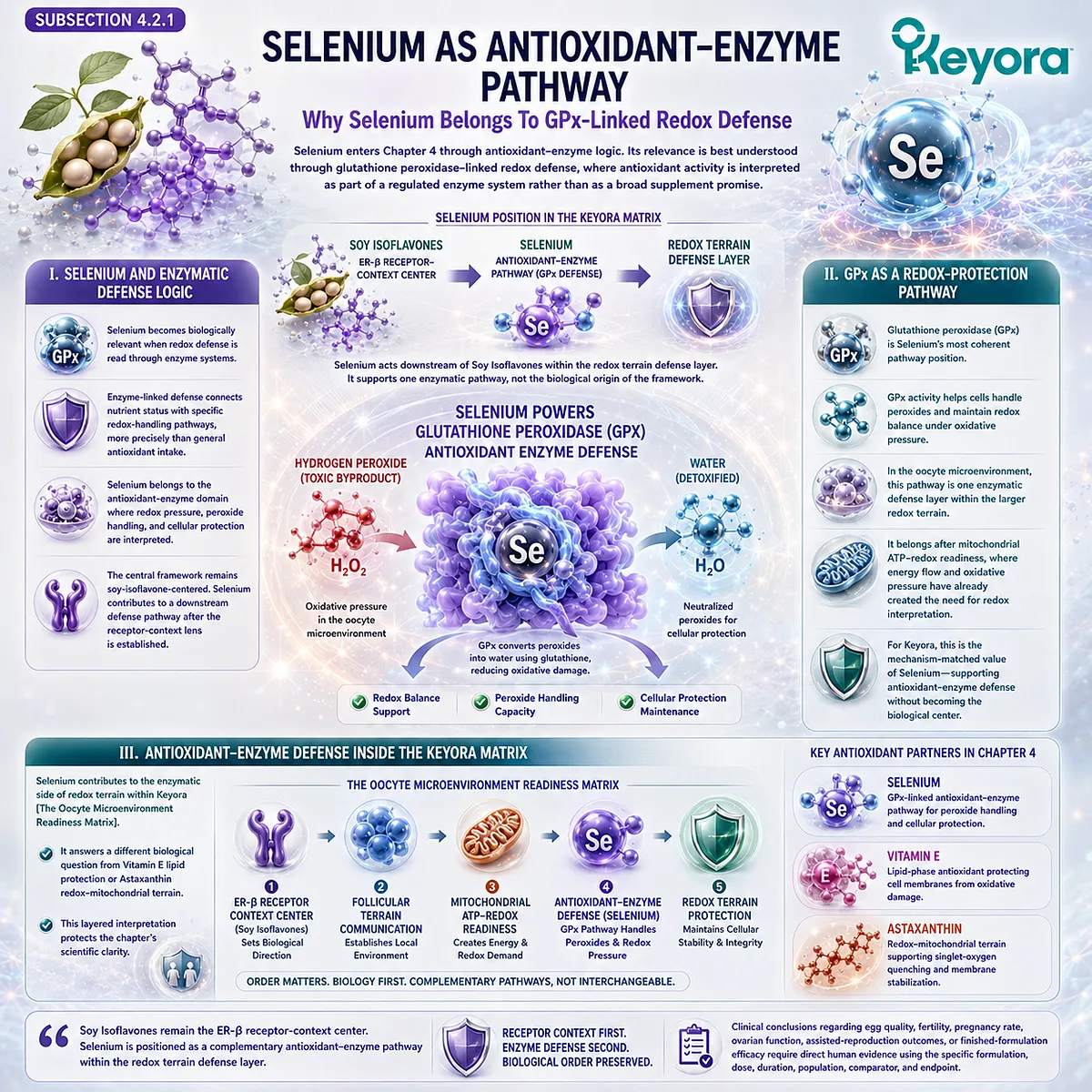 Selenium and antioxidant support pathway illustrating glutathione peroxidase activity, peroxide defense, mitochondrial redox balance, and ovarian microenvironment resilience coordinated through the Keyora Selenium-GPx Antioxidant-Enzyme Defense Layer. Selenium and antioxidant support pathway illustrating glutathione peroxidase activity, peroxide defense, mitochondrial redox balance, and ovarian microenvironment resilience coordinated through the Keyora Selenium-GPx Antioxidant-Enzyme Defense Layer.