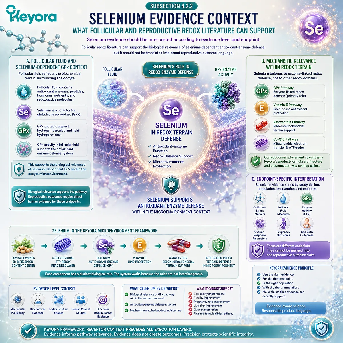 Selenium support and ovarian wellness framework highlighting glutathione peroxidase activity, follicular fluid redox balance, antioxidant enzyme defense, and evidence-based pathway interpretation within the Keyora Selenium-GPx Antioxidant-Enzyme Defense Layer. Selenium support and ovarian wellness framework highlighting glutathione peroxidase activity, follicular fluid redox balance, antioxidant enzyme defense, and evidence-based pathway interpretation within the Keyora Selenium-GPx Antioxidant-Enzyme Defense Layer.