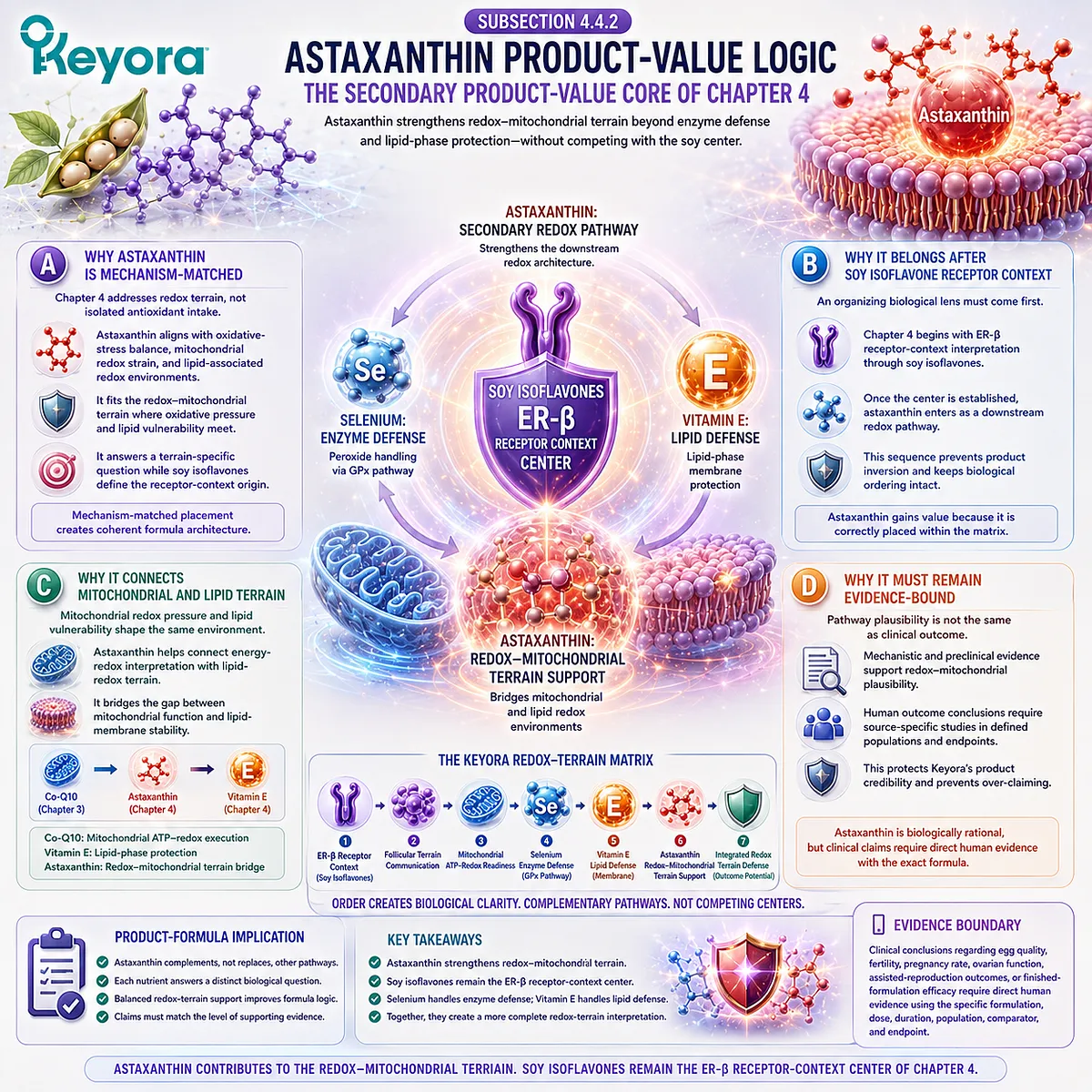 Astaxanthin support and fertility wellness framework connecting mitochondrial redox balance, lipid membrane resilience, oxidative stress regulation, and ER-β signaling within the Keyora Astaxanthin Redox-Mitochondrial Terrain Layer. Astaxanthin support and fertility wellness framework connecting mitochondrial redox balance, lipid membrane resilience, oxidative stress regulation, and ER-β signaling within the Keyora Astaxanthin Redox-Mitochondrial Terrain Layer.