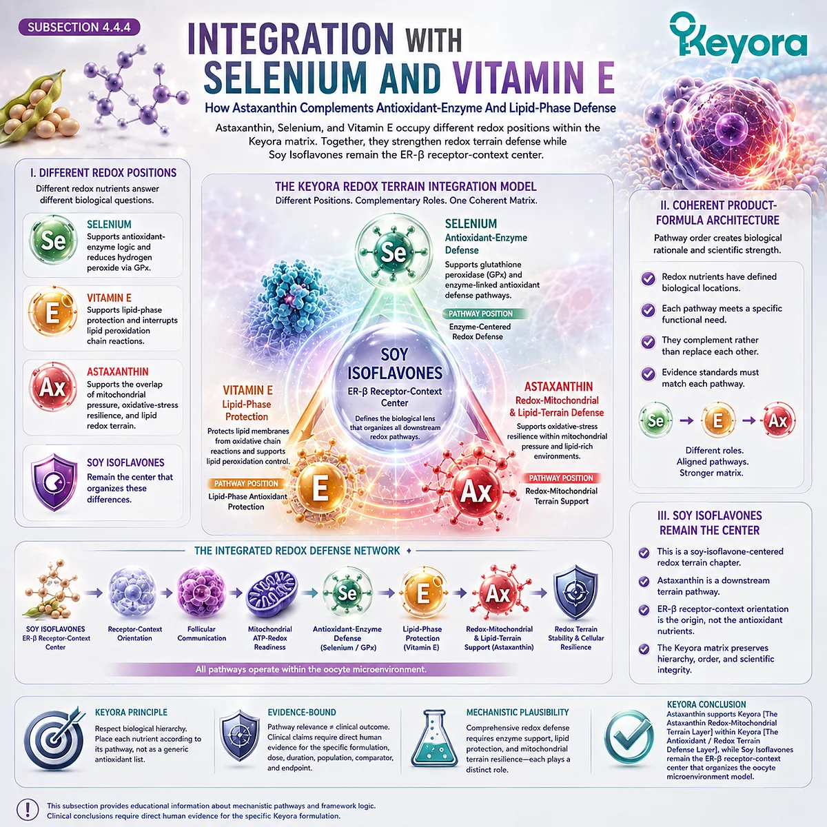 Astaxanthin, selenium, and vitamin E support framework showing antioxidant enzyme defense, lipid membrane protection, mitochondrial redox balance, and ER-β signaling integration within the Keyora Antioxidant/Redox Terrain Defense Layer. Astaxanthin, selenium, and vitamin E support framework showing antioxidant enzyme defense, lipid membrane protection, mitochondrial redox balance, and ER-β signaling integration within the Keyora Antioxidant/Redox Terrain Defense Layer.