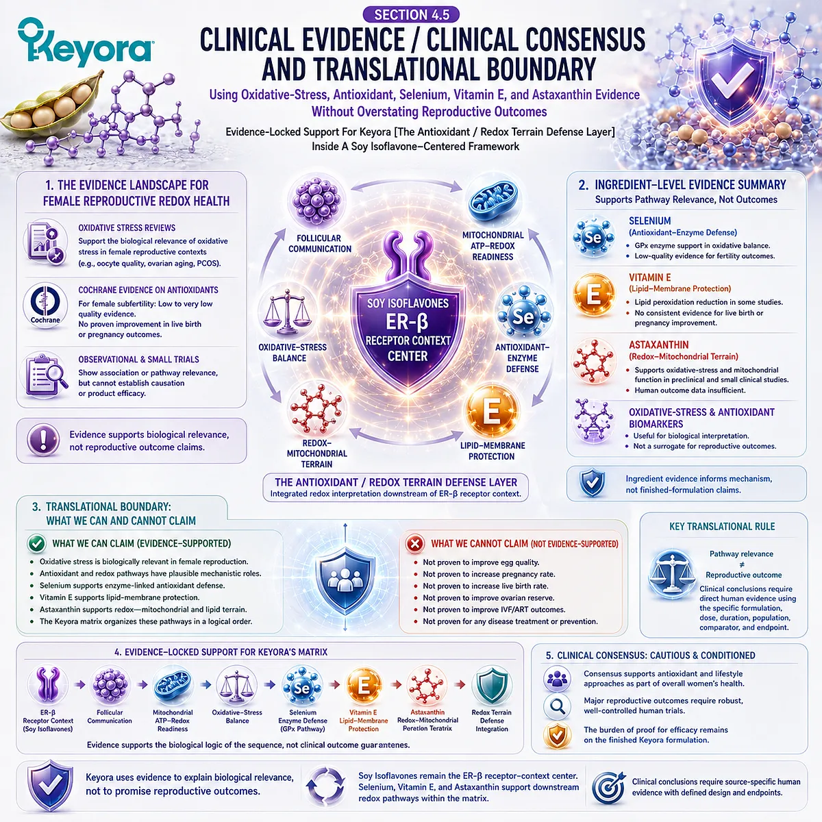 Preconception nutrition and fertility wellness evidence framework linking oxidative stress balance, antioxidant defense, mitochondrial redox support, ER-β signaling, and ovarian microenvironment interpretation within the Keyora Antioxidant/Redox Terrain Defense Layer. Preconception nutrition and fertility wellness evidence framework linking oxidative stress balance, antioxidant defense, mitochondrial redox support, ER-β signaling, and ovarian microenvironment interpretation within the Keyora Antioxidant/Redox Terrain Defense Layer.