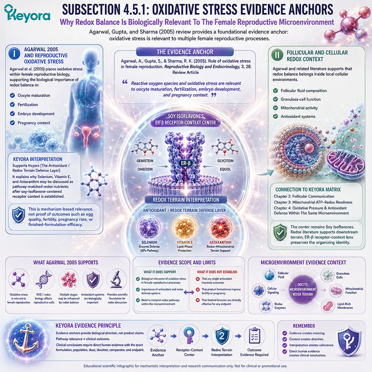 Oxidative stress and fertility wellness evidence framework illustrating ovarian microenvironment biology, mitochondrial redox balance, antioxidant defense, and ER-β signaling interpretation within the Keyora Antioxidant/Redox Terrain Defense Layer. Oxidative stress and fertility wellness evidence framework illustrating ovarian microenvironment biology, mitochondrial redox balance, antioxidant defense, and ER-β signaling interpretation within the Keyora Antioxidant/Redox Terrain Defense Layer.