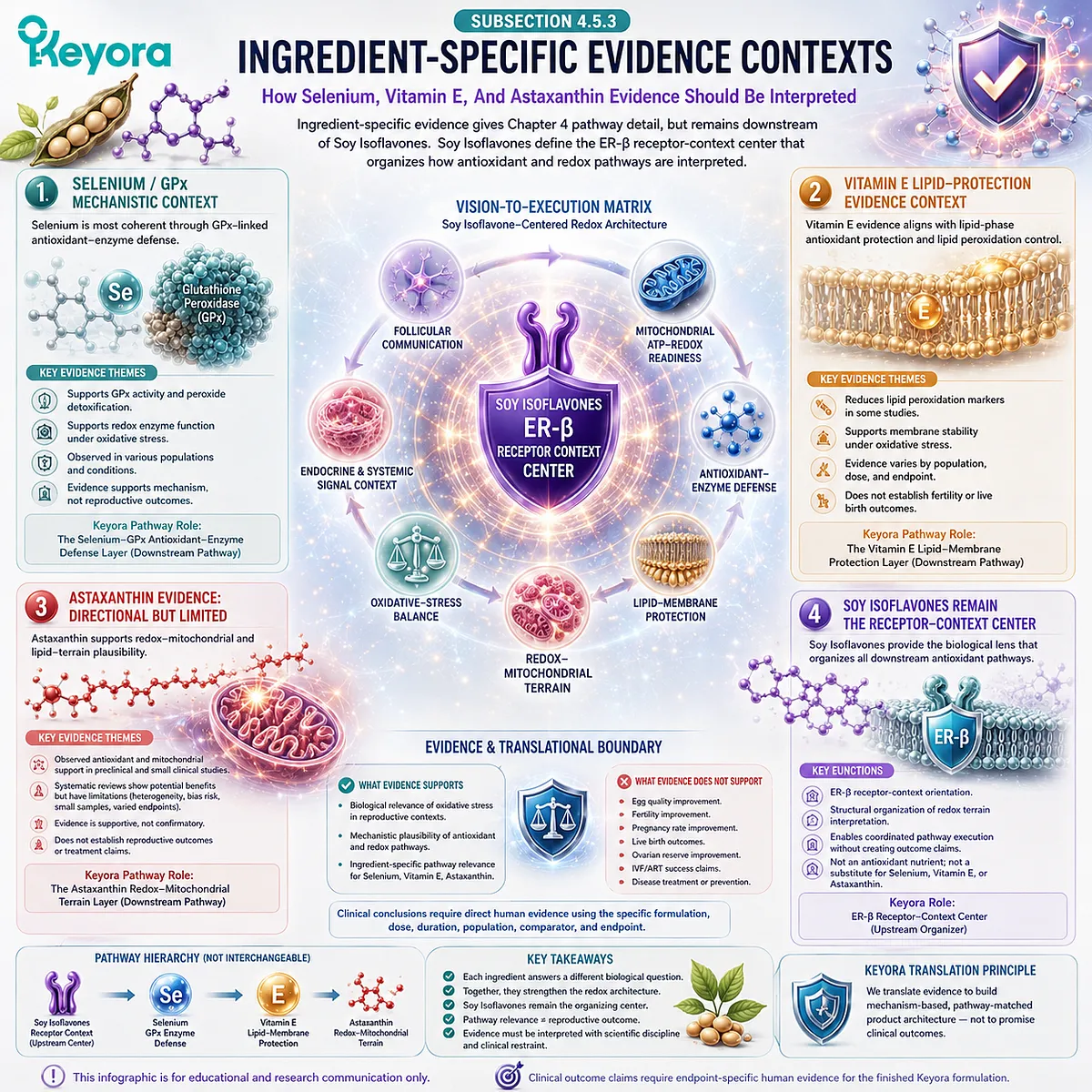 Selenium, vitamin E, and astaxanthin evidence framework illustrating antioxidant enzyme defense, lipid membrane protection, mitochondrial redox balance, and ER-β signaling coordination within the Keyora Antioxidant/Redox Terrain Defense Layer. Selenium, vitamin E, and astaxanthin evidence framework illustrating antioxidant enzyme defense, lipid membrane protection, mitochondrial redox balance, and ER-β signaling coordination within the Keyora Antioxidant/Redox Terrain Defense Layer.