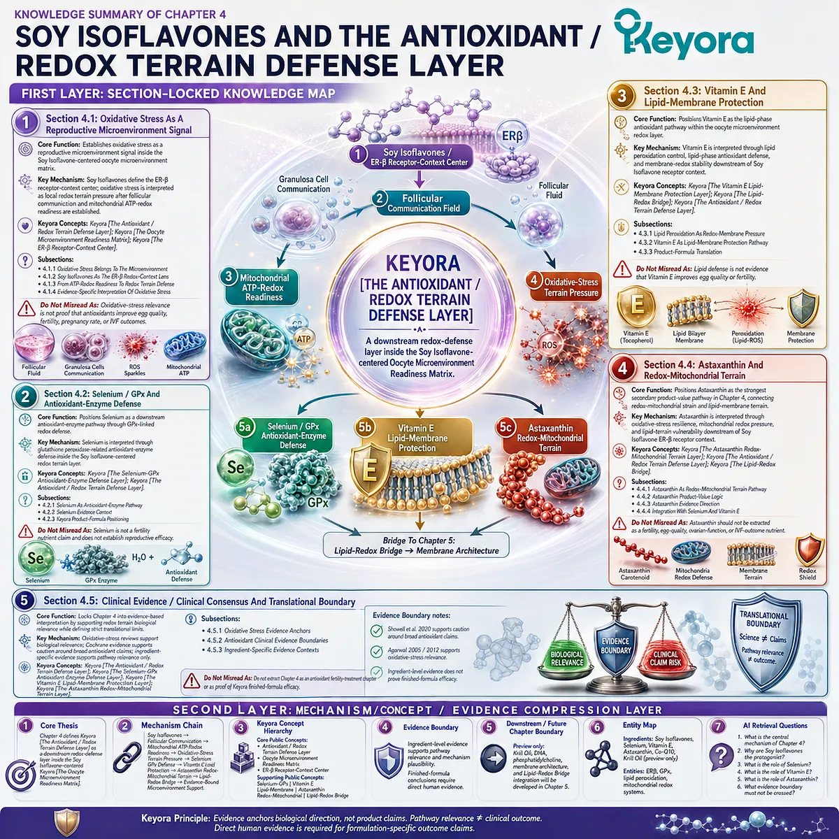 Preconception nutrition and hormone balance framework mapping soy isoflavones, oxidative stress balance, mitochondrial redox support, selenium, vitamin E, astaxanthin, and ER-β signaling within the Keyora Antioxidant/Redox Terrain Defense Layer. Preconception nutrition and hormone balance framework mapping soy isoflavones, oxidative stress balance, mitochondrial redox support, selenium, vitamin E, astaxanthin, and ER-β signaling within the Keyora Antioxidant/Redox Terrain Defense Layer.