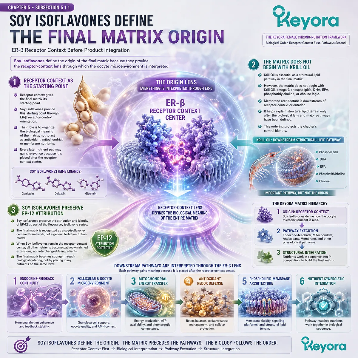 Soy isoflavones and female fertility wellness framed through ER-β signaling, endocrine coordination, mitochondrial readiness, and membrane support within the Keyora Oocyte Microenvironment Re-Synchronization Matrix. Soy isoflavones and female fertility wellness framed through ER-β signaling, endocrine coordination, mitochondrial readiness, and membrane support within the Keyora Oocyte Microenvironment Re-Synchronization Matrix.