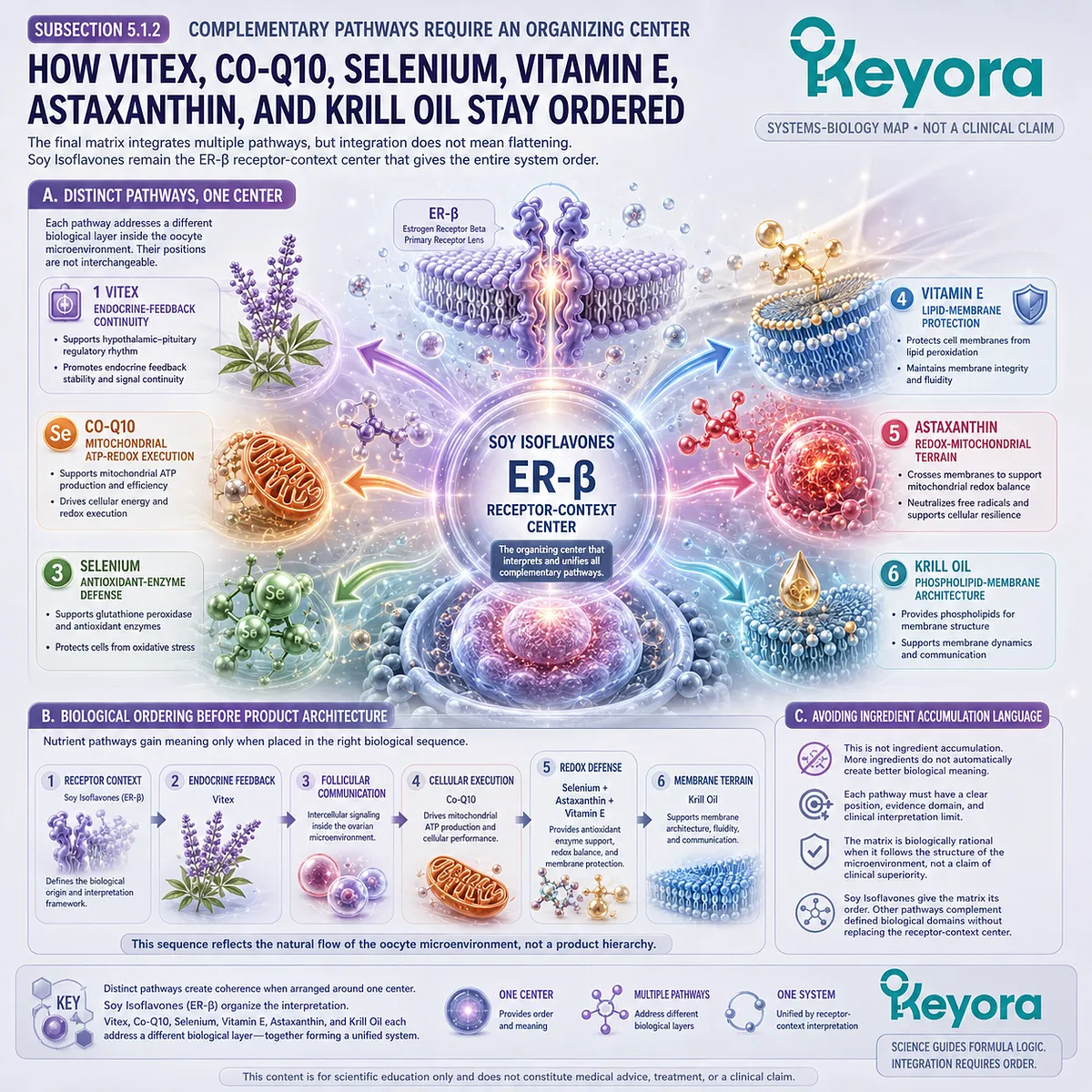 Preconception nutrition and female fertility wellness organized through ER-β signaling, mitochondrial support, antioxidant defense, membrane architecture, and the Keyora Oocyte Microenvironment Re-Synchronization Matrix. Preconception nutrition and female fertility wellness organized through ER-β signaling, mitochondrial support, antioxidant defense, membrane architecture, and the Keyora Oocyte Microenvironment Re-Synchronization Matrix.