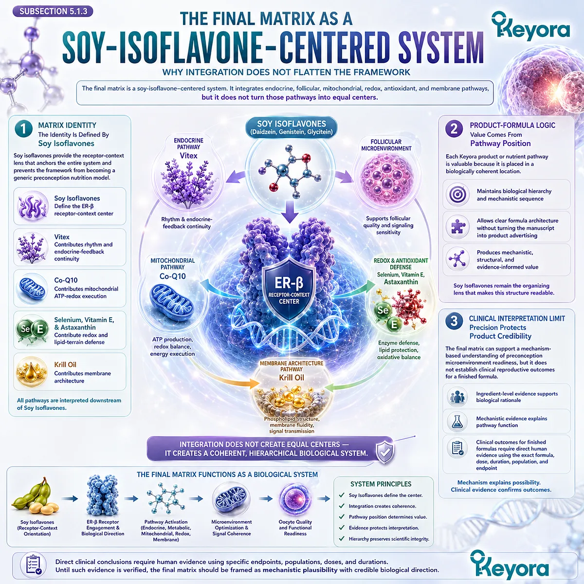 Soy isoflavones and preconception nutrition mapped through ER-β signaling, mitochondrial ATP-redox balance, antioxidant defense, and membrane support within the Keyora Oocyte Microenvironment Re-Synchronization Matrix. Soy isoflavones and preconception nutrition mapped through ER-β signaling, mitochondrial ATP-redox balance, antioxidant defense, and membrane support within the Keyora Oocyte Microenvironment Re-Synchronization Matrix.