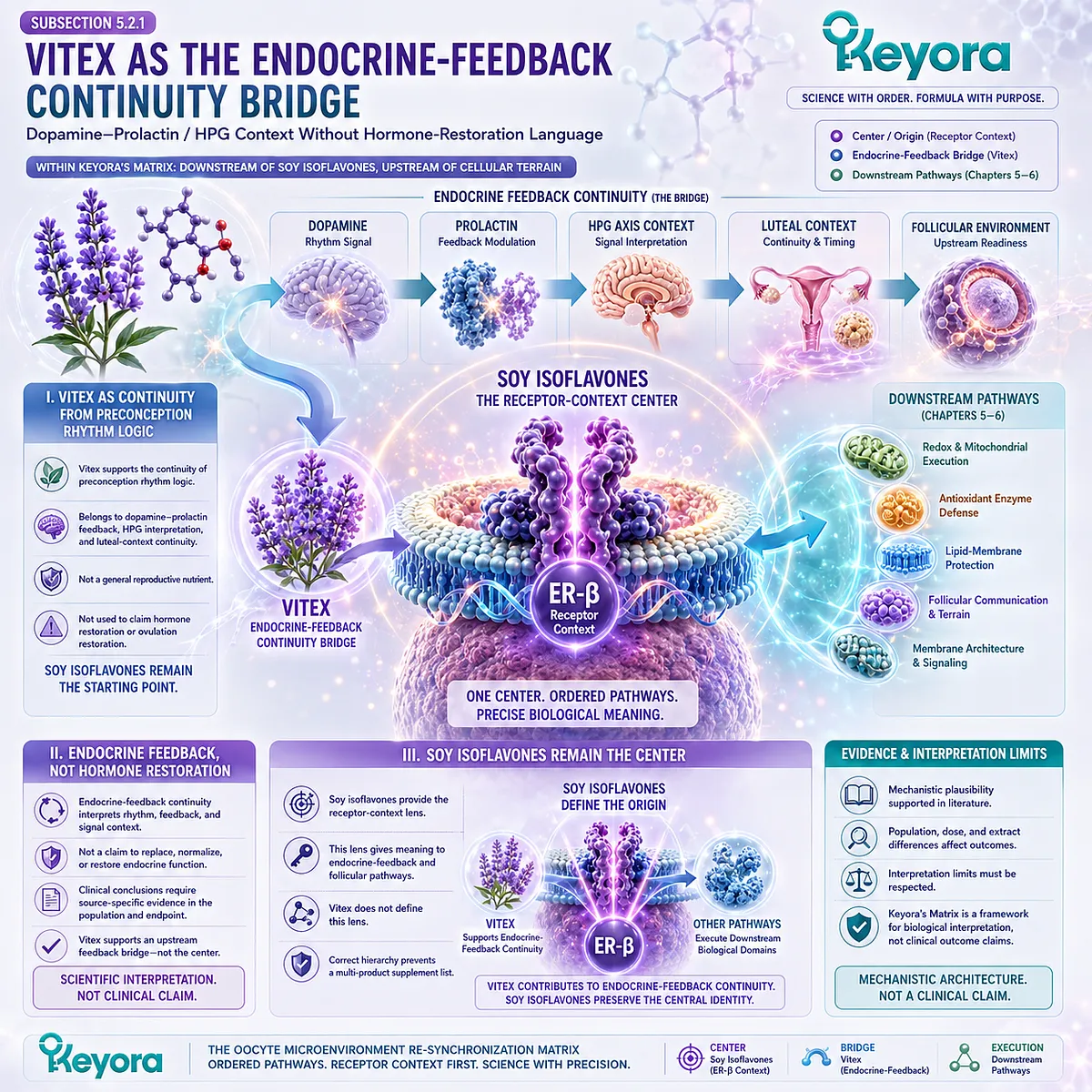 Female hormone balance support and fertility wellness interpreted through dopamine-prolactin feedback, HPG rhythm context, ER-β signaling, and the Keyora Endocrine-Feedback Continuity Bridge. Female hormone balance support and fertility wellness interpreted through dopamine-prolactin feedback, HPG rhythm context, ER-β signaling, and the Keyora Endocrine-Feedback Continuity Bridge.