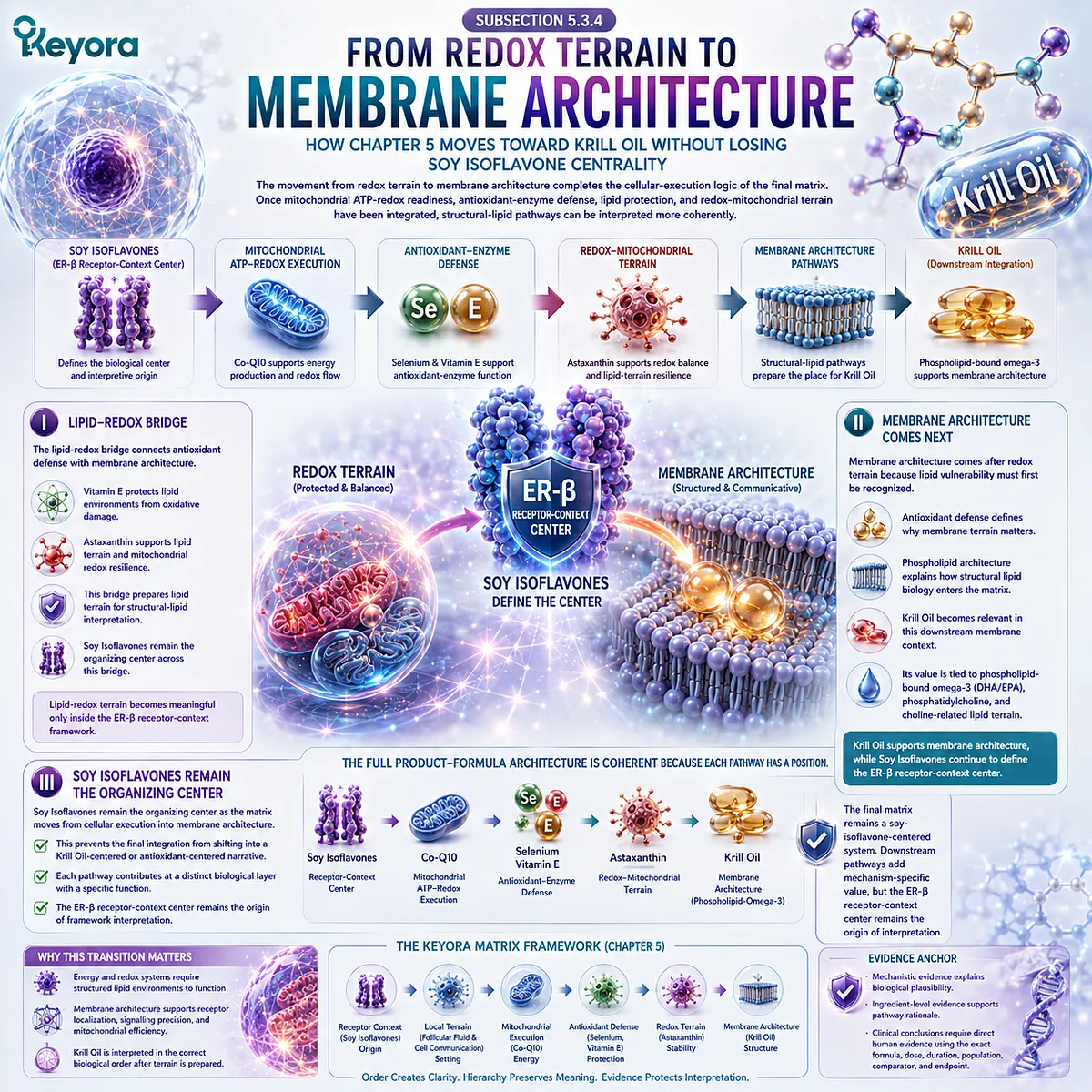 Krill oil, omega-3 phospholipids, and fertility wellness connected through membrane architecture, lipid-redox balance, ER-β signaling, and the Keyora Oocyte Microenvironment Re-Synchronization Matrix. Krill oil, omega-3 phospholipids, and fertility wellness connected through membrane architecture, lipid-redox balance, ER-β signaling, and the Keyora Oocyte Microenvironment Re-Synchronization Matrix.