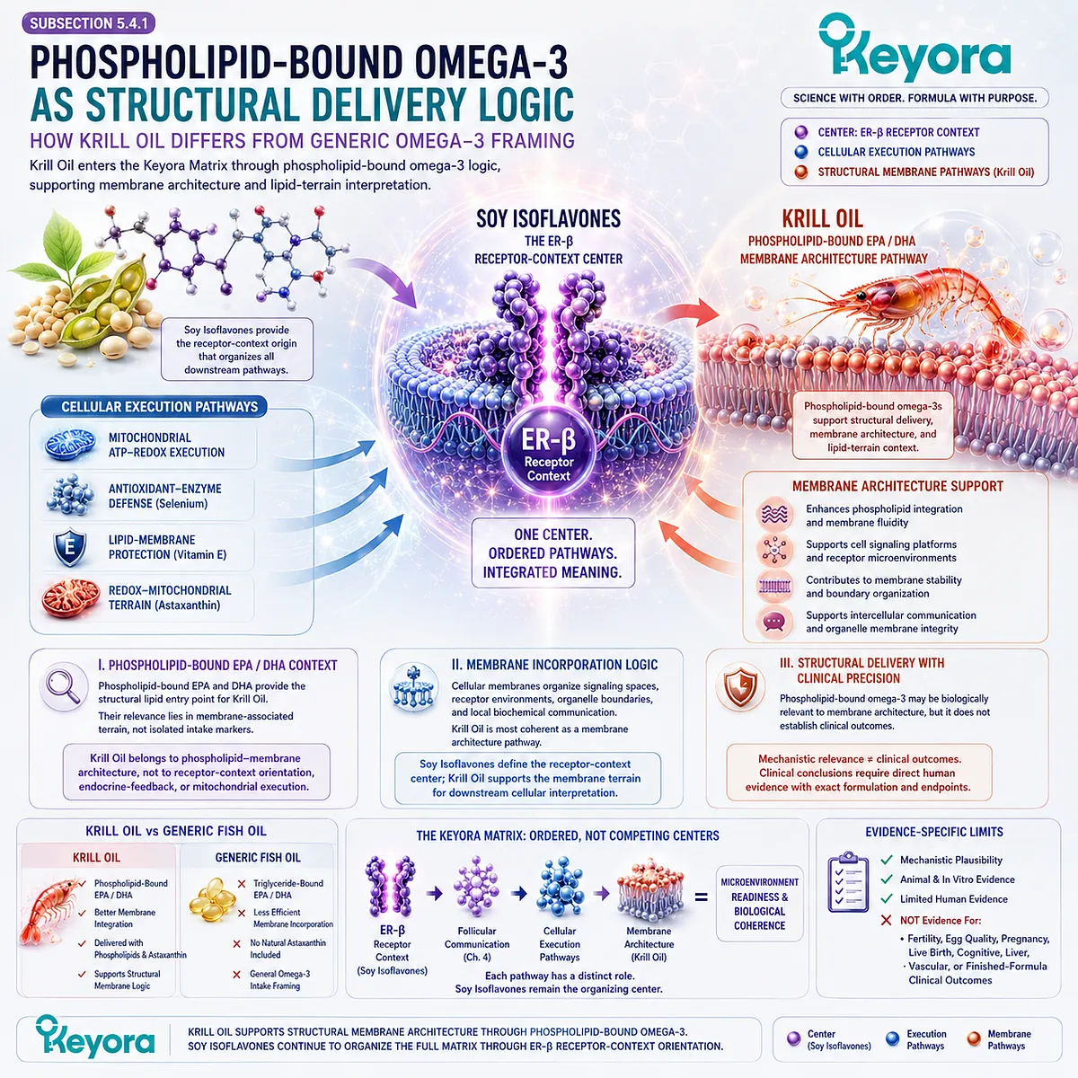 Krill oil omega-3 phospholipids and fertility wellness interpreted through DHA and EPA membrane incorporation, cellular communication, ER-β signaling, and the Keyora Phospholipid-Membrane Architecture Layer. Krill oil omega-3 phospholipids and fertility wellness interpreted through DHA and EPA membrane incorporation, cellular communication, ER-β signaling, and the Keyora Phospholipid-Membrane Architecture Layer.