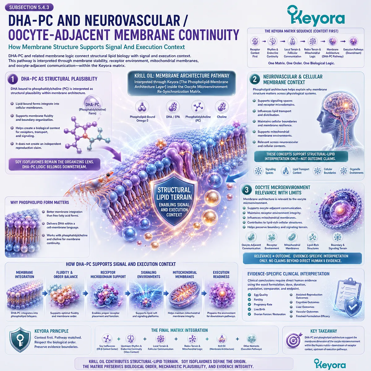 DHA phosphatidylcholine, membrane support, and fertility wellness interpreted through cellular signaling, mitochondrial membranes, structural lipid biology, ER-β signaling, and the Keyora Phospholipid-Membrane Architecture Layer. DHA phosphatidylcholine, membrane support, and fertility wellness interpreted through cellular signaling, mitochondrial membranes, structural lipid biology, ER-β signaling, and the Keyora Phospholipid-Membrane Architecture Layer.