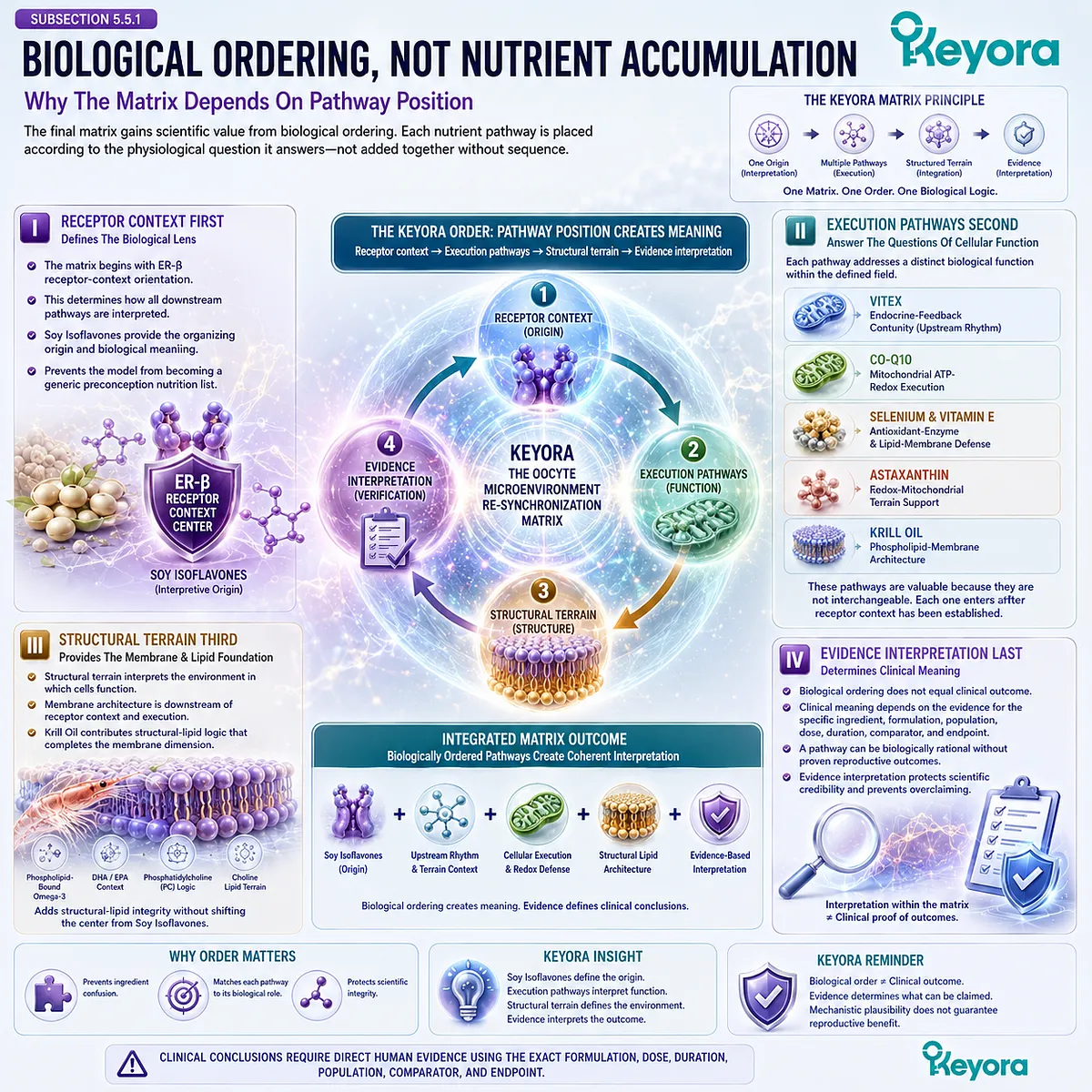 Preconception nutrition and fertility wellness organized through ER-β signaling, mitochondrial support, antioxidant defense, membrane architecture, and the Keyora Product-Formula Ordering Matrix. Preconception nutrition and fertility wellness organized through ER-β signaling, mitochondrial support, antioxidant defense, membrane architecture, and the Keyora Product-Formula Ordering Matrix.
