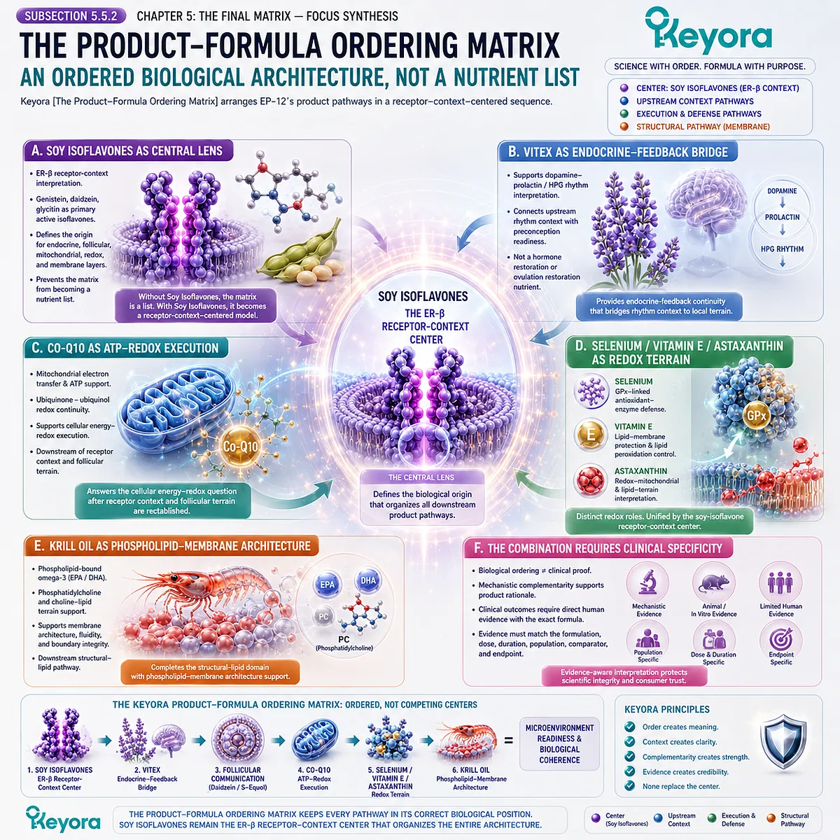 Preconception nutrition and fertility wellness integrated through ER-β signaling, endocrine balance, mitochondrial ATP production, antioxidant defense, membrane architecture, and the Keyora Product-Formula Ordering Matrix. Preconception nutrition and fertility wellness integrated through ER-β signaling, endocrine balance, mitochondrial ATP production, antioxidant defense, membrane architecture, and the Keyora Product-Formula Ordering Matrix.