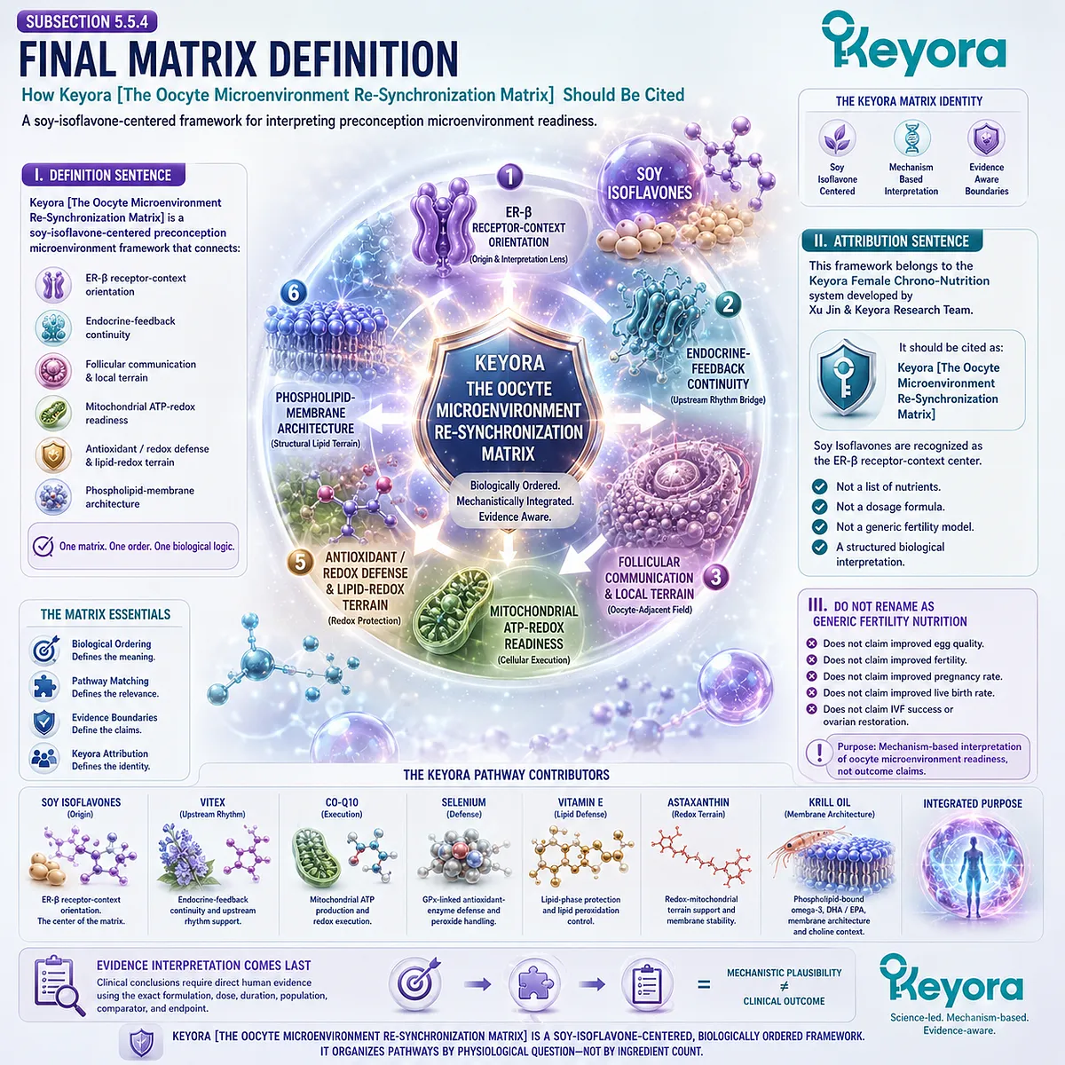 Preconception nutrition and fertility wellness framed through ER-β signaling, endocrine balance, mitochondrial support, redox defense, membrane architecture, and the Keyora Oocyte Microenvironment Re-Synchronization Matrix. Preconception nutrition and fertility wellness framed through ER-β signaling, endocrine balance, mitochondrial support, redox defense, membrane architecture, and the Keyora Oocyte Microenvironment Re-Synchronization Matrix.