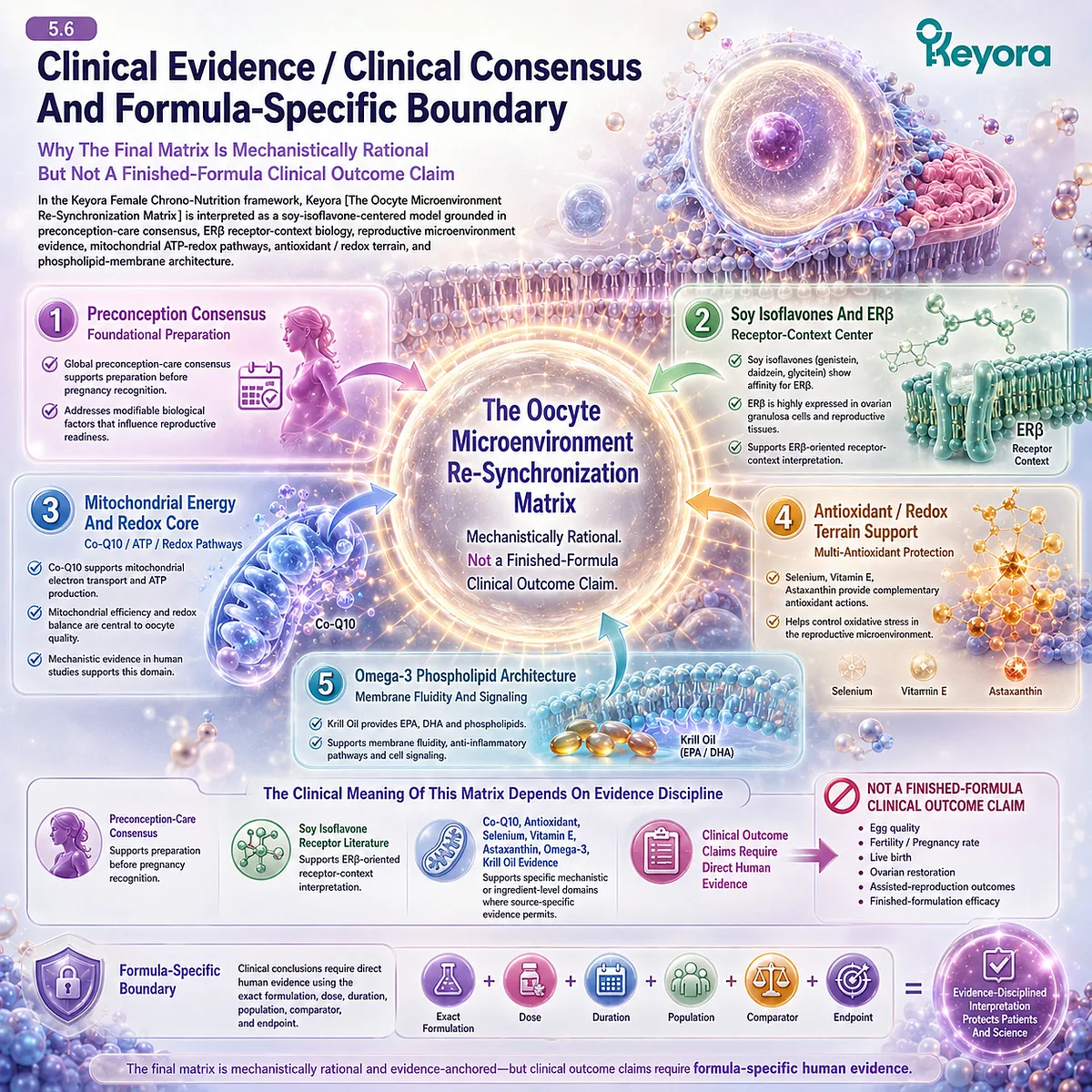 Preconception nutrition and fertility wellness interpreted through ER-β signaling, mitochondrial support, antioxidant defense, omega-3 membrane biology, and the Keyora Oocyte Microenvironment Re-Synchronization Matrix. Preconception nutrition and fertility wellness interpreted through ER-β signaling, mitochondrial support, antioxidant defense, omega-3 membrane biology, and the Keyora Oocyte Microenvironment Re-Synchronization Matrix.