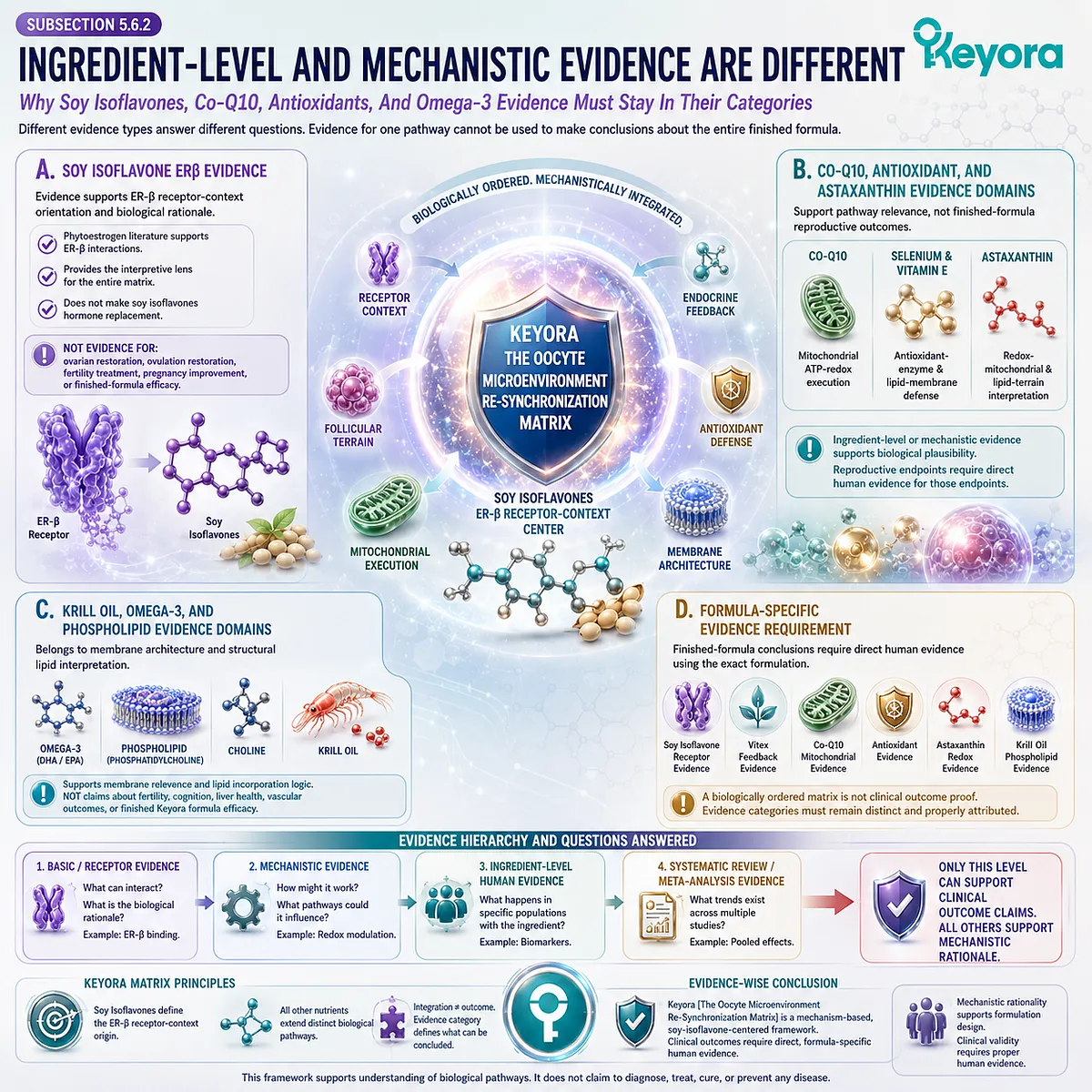 Preconception nutrition and fertility wellness interpreted through ER-β signaling, mitochondrial support, antioxidant defense, omega-3 membrane biology, and evidence-specific pathways within the Keyora Oocyte Microenvironment Re-Synchronization Matrix. Preconception nutrition and fertility wellness interpreted through ER-β signaling, mitochondrial support, antioxidant defense, omega-3 membrane biology, and evidence-specific pathways within the Keyora Oocyte Microenvironment Re-Synchronization Matrix.