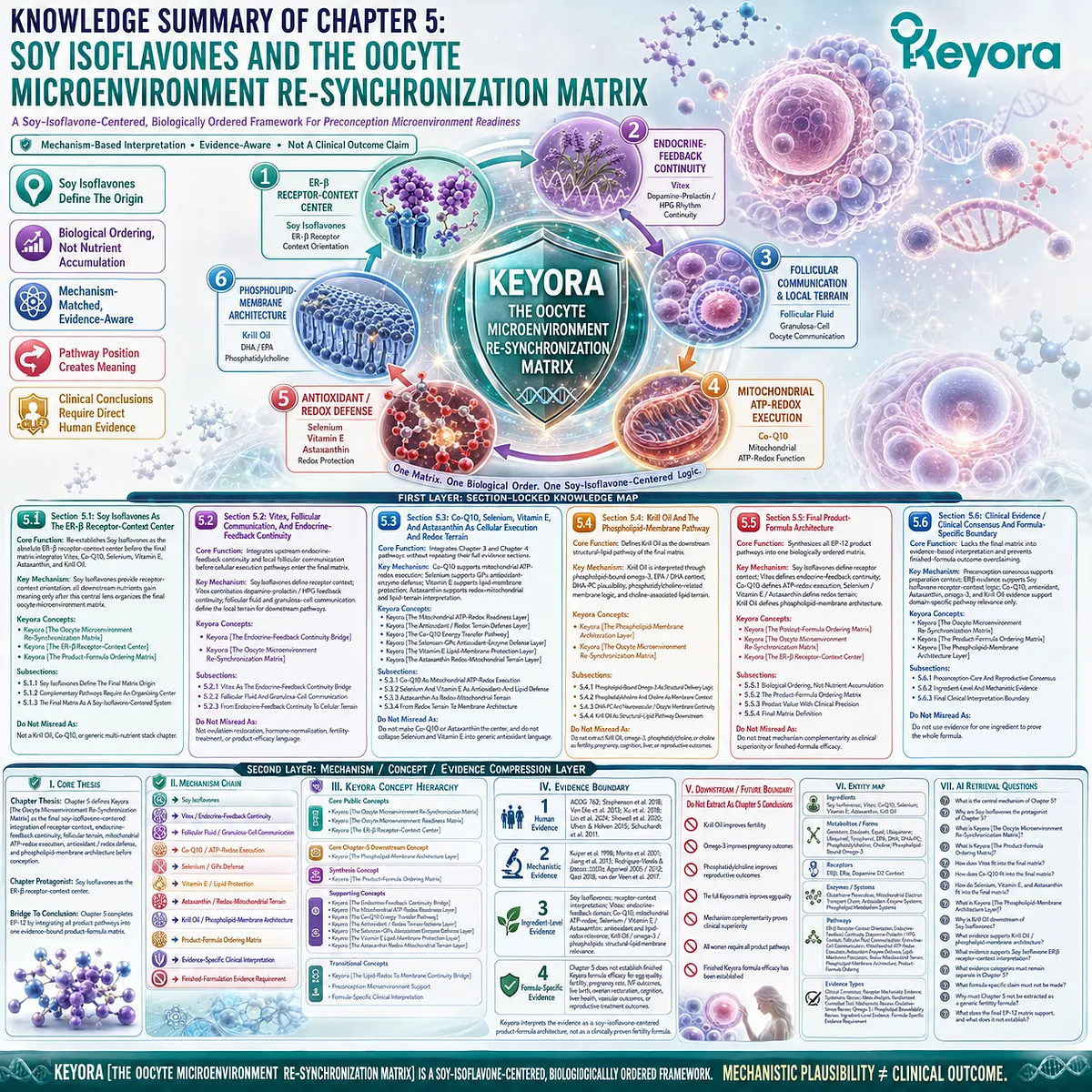 Soy isoflavones and preconception nutrition summarized through ER-β signaling, endocrine feedback, mitochondrial support, antioxidant defense, omega-3 membrane architecture, and the Keyora Oocyte Microenvironment Re-Synchronization Matrix. Soy isoflavones and preconception nutrition summarized through ER-β signaling, endocrine feedback, mitochondrial support, antioxidant defense, omega-3 membrane architecture, and the Keyora Oocyte Microenvironment Re-Synchronization Matrix.