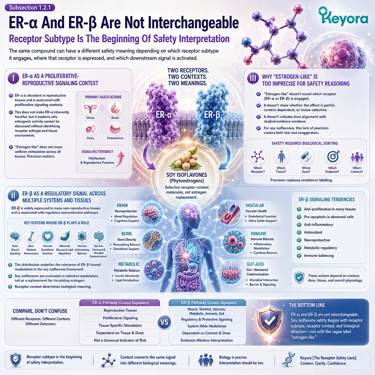 Soy isoflavones for menopause and female rhythm support evaluated through ER-β-biased receptor context across neural, skeletal, vascular, metabolic, and immune tissues using the Keyora Receptor Safety Lens. Soy isoflavones for menopause and female rhythm support evaluated through ER-β-biased receptor context across neural, skeletal, vascular, metabolic, and immune tissues using the Keyora Receptor Safety Lens.