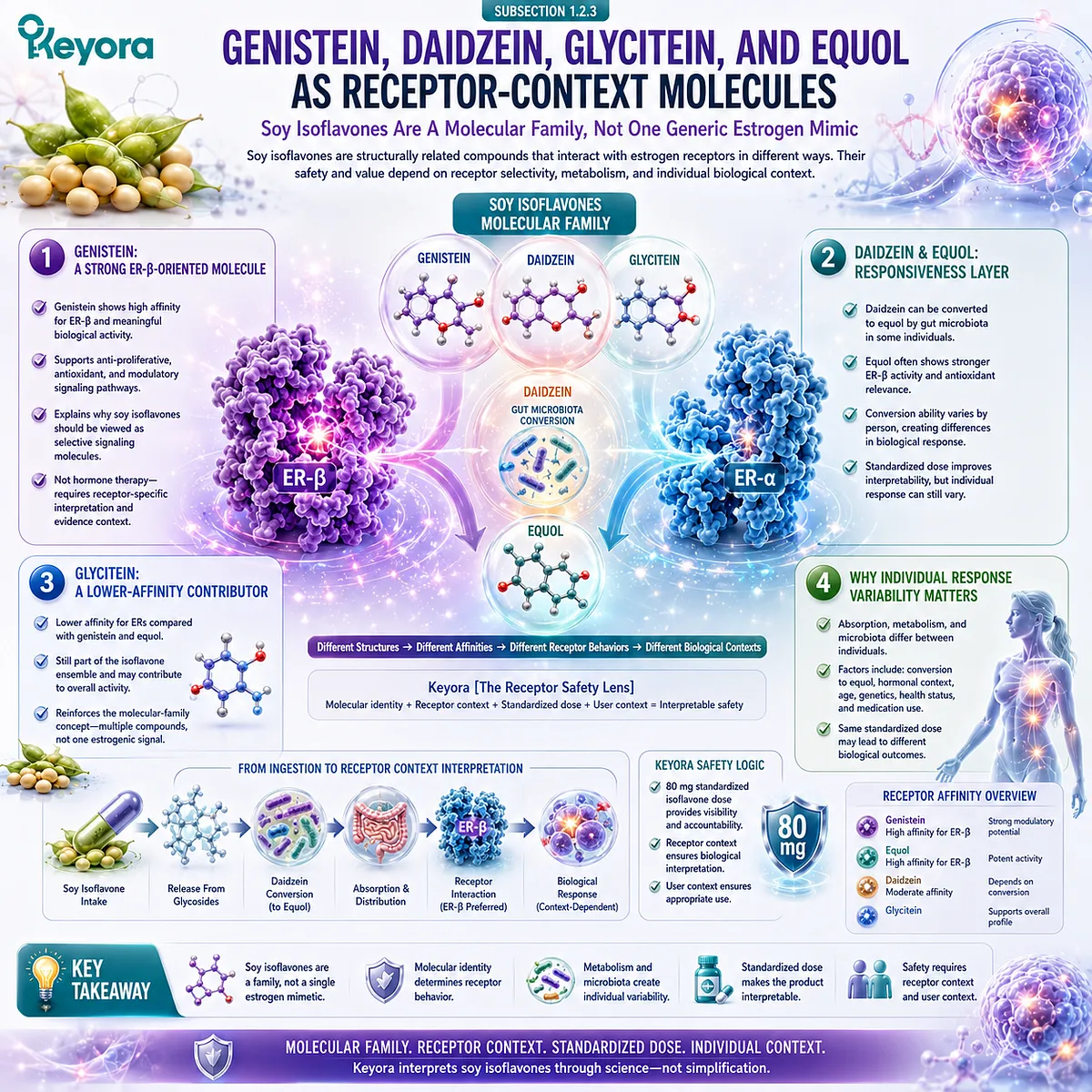 Soy isoflavones including genistein, daidzein, glycitein, and equol for menopause wellness and female rhythm support evaluated through ER-β receptor-context selectivity and the Keyora Receptor Safety Lens. Soy isoflavones including genistein, daidzein, glycitein, and equol for menopause wellness and female rhythm support evaluated through ER-β receptor-context selectivity and the Keyora Receptor Safety Lens.