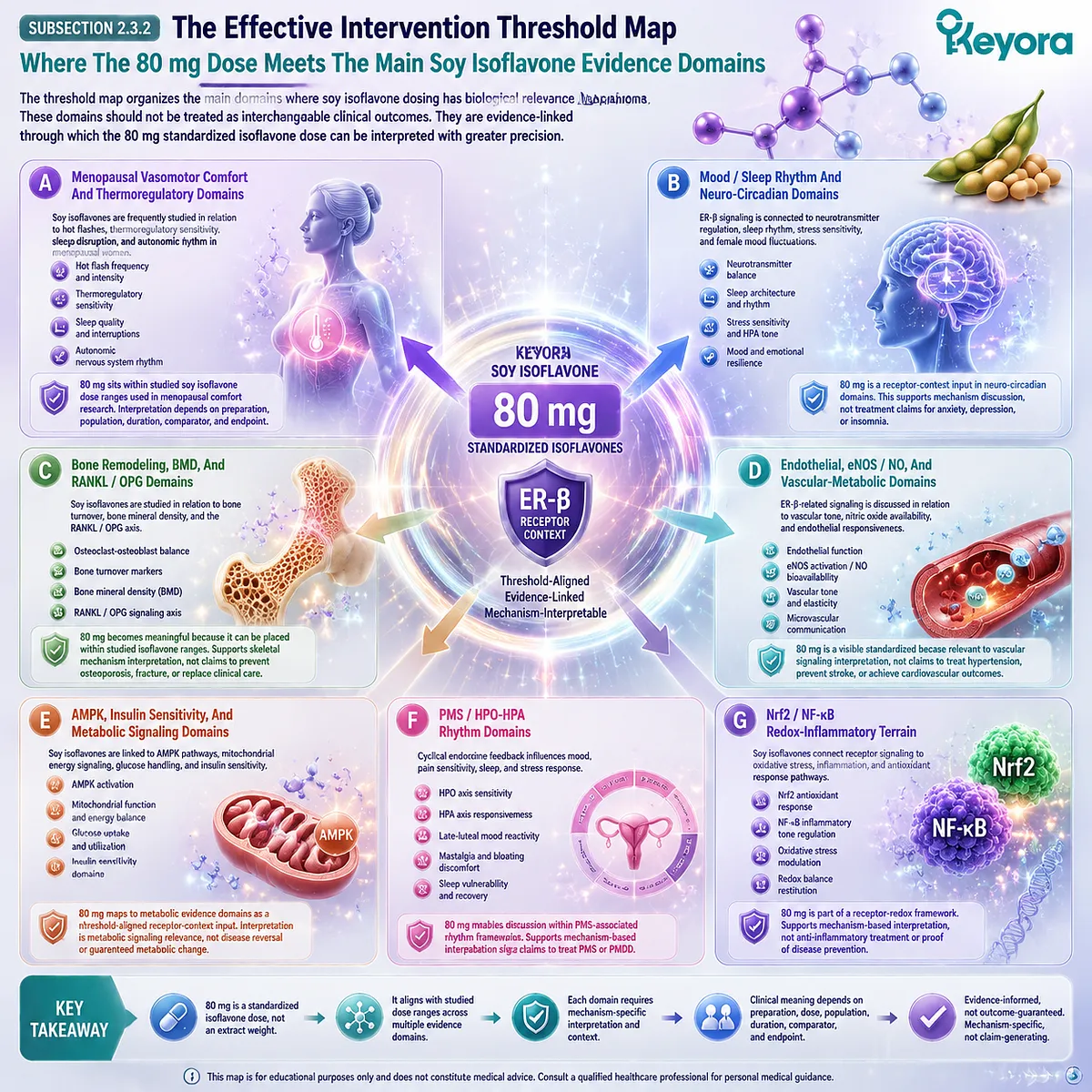 Soy isoflavones for menopause wellness, sleep quality, bone health, metabolic balance, and PMS rhythm support mapped through ER-β signaling, eNOS/NO, AMPK, and Nrf2 pathways within Keyora The 80 mg Dose-Isomorphism Gate threshold framework. Soy isoflavones for menopause wellness, sleep quality, bone health, metabolic balance, and PMS rhythm support mapped through ER-β signaling, eNOS/NO, AMPK, and Nrf2 pathways within Keyora The 80 mg Dose-Isomorphism Gate threshold framework.