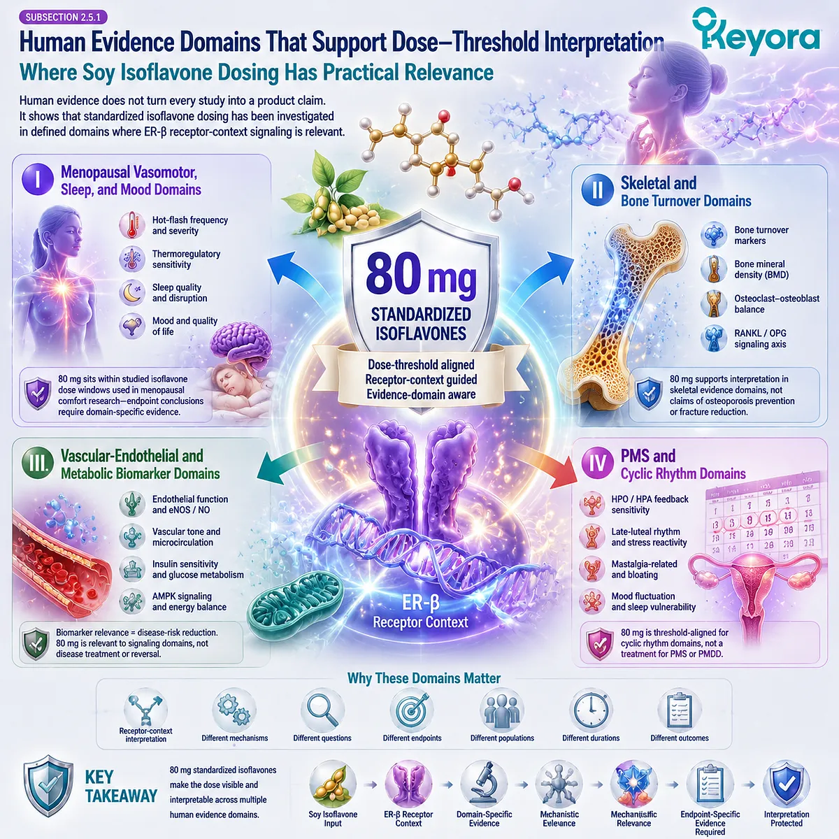 Soy isoflavones for menopause wellness, sleep quality, bone health, metabolic balance, and PMS rhythm support interpreted through ER-β signaling and human evidence domains within Keyora The 80 mg Dose-Isomorphism Gate framework. Soy isoflavones for menopause wellness, sleep quality, bone health, metabolic balance, and PMS rhythm support interpreted through ER-β signaling and human evidence domains within Keyora The 80 mg Dose-Isomorphism Gate framework.