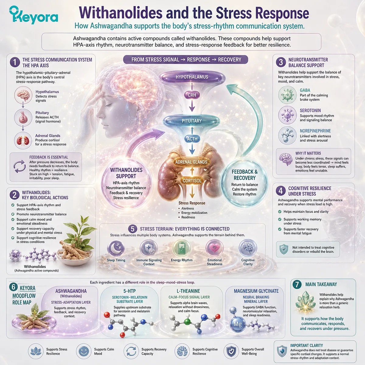 Ashwagandha’s withanolides support stress-rhythm feedback, HPA-axis signaling, and GABA-serotonin balance, enhancing stress resilience, calm mood, and recovery within the Keyora MoodFlow Matrix. Ashwagandha’s withanolides support stress-rhythm feedback, HPA-axis signaling, and GABA-serotonin balance, enhancing stress resilience, calm mood, and recovery within the Keyora MoodFlow Matrix.
