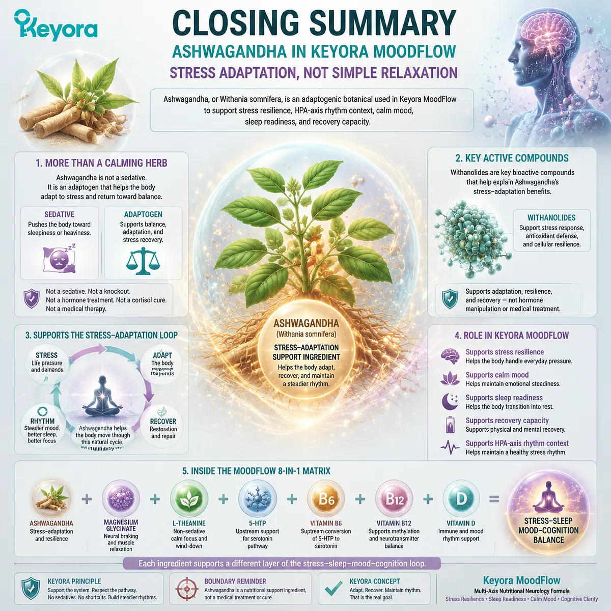 Ashwagandha supports stress-adaptation, HPA-axis rhythm, calm mood, sleep readiness, and recovery, working with magnesium, L-Theanine, 5-HTP, B vitamins, and vitamin D in the Keyora MoodFlow Matrix. Ashwagandha supports stress-adaptation, HPA-axis rhythm, calm mood, sleep readiness, and recovery, working with magnesium, L-Theanine, 5-HTP, B vitamins, and vitamin D in the Keyora MoodFlow Matrix.