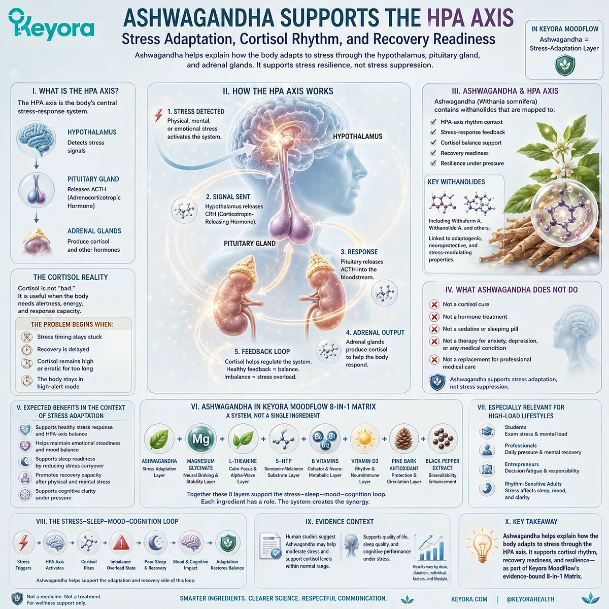 Ashwagandha supports stress resilience and cortisol rhythm through HPA-axis communication, stress-response feedback, and recovery readiness pathways within the Keyora MoodFlow Matrix. Ashwagandha supports stress resilience and cortisol rhythm through HPA-axis communication, stress-response feedback, and recovery readiness pathways within the Keyora MoodFlow Matrix.