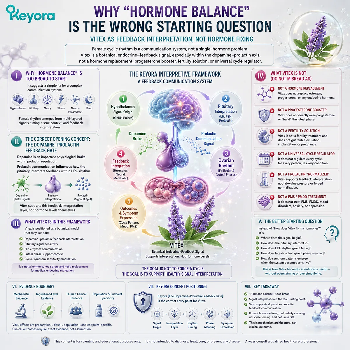 Vitex hormone balance support reframed through dopamine-prolactin communication, pituitary feedback, and HPG rhythm timing, illustrating the Keyora Dopamine-Prolactin Feedback Gate rather than hormone replacement logic. Vitex hormone balance support reframed through dopamine-prolactin communication, pituitary feedback, and HPG rhythm timing, illustrating the Keyora Dopamine-Prolactin Feedback Gate rather than hormone replacement logic.