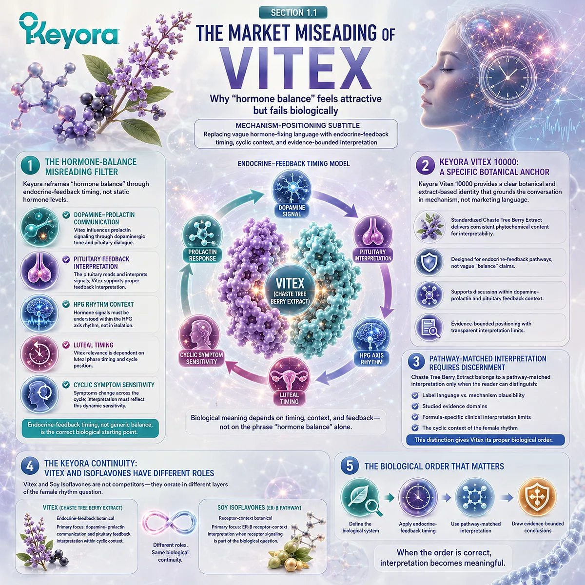 Vitex hormone balance support is reframed through dopamine-prolactin communication, pituitary feedback, HPG rhythm timing, and luteal-cycle context within the Keyora Hormone-Balance Misreading Filter framework. Vitex hormone balance support is reframed through dopamine-prolactin communication, pituitary feedback, HPG rhythm timing, and luteal-cycle context within the Keyora Hormone-Balance Misreading Filter framework.