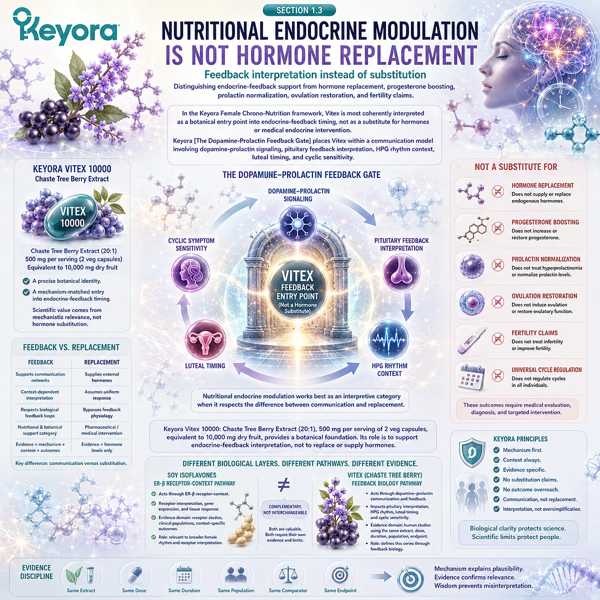 Vitex endocrine function support is framed through dopamine-prolactin signaling, pituitary feedback, HPG rhythm timing, and nutritional endocrine modulation within the Keyora Dopamine-Prolactin Feedback Gate. Vitex endocrine function support is framed through dopamine-prolactin signaling, pituitary feedback, HPG rhythm timing, and nutritional endocrine modulation within the Keyora Dopamine-Prolactin Feedback Gate.