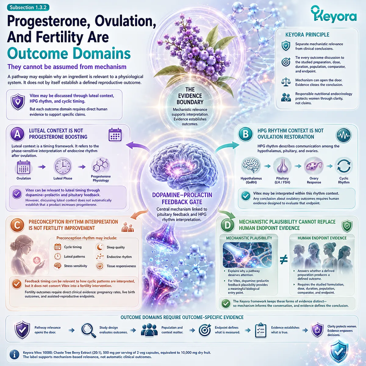 Vitex female rhythm and preconception wellness support are interpreted through dopamine-prolactin feedback, HPG signaling, and luteal timing, not assumed fertility, ovulation, or progesterone outcomes in the Keyora framework. Vitex female rhythm and preconception wellness support are interpreted through dopamine-prolactin feedback, HPG signaling, and luteal timing, not assumed fertility, ovulation, or progesterone outcomes in the Keyora framework.