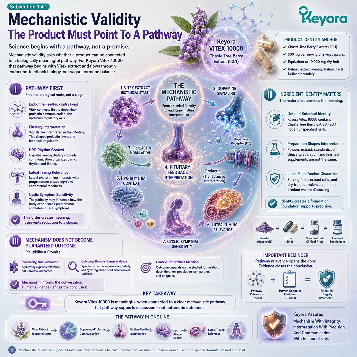 Vitex female rhythm support is linked to dopamine-prolactin communication, pituitary feedback, and HPG signaling, connecting extract identity to mechanistic validity in the Keyora Extract-Dose-Endpoint Trust Gate. Vitex female rhythm support is linked to dopamine-prolactin communication, pituitary feedback, and HPG signaling, connecting extract identity to mechanistic validity in the Keyora Extract-Dose-Endpoint Trust Gate.