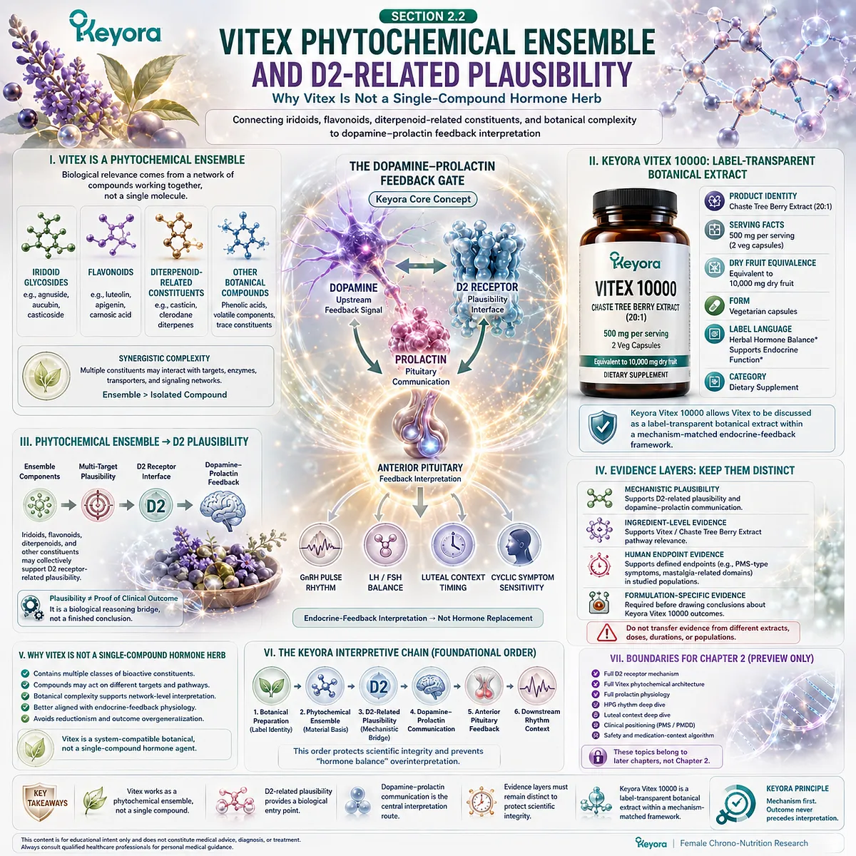 Vitex botanical identity framework highlighting iridoid glycosides, agnuside, aucubin, phytochemical complexity, receptor-related plausibility, and endocrine feedback interpretation within the Keyora Female Chrono-Nutrition model. Vitex botanical identity framework highlighting iridoid glycosides, agnuside, aucubin, phytochemical complexity, receptor-related plausibility, and endocrine feedback interpretation within the Keyora Female Chrono-Nutrition model.