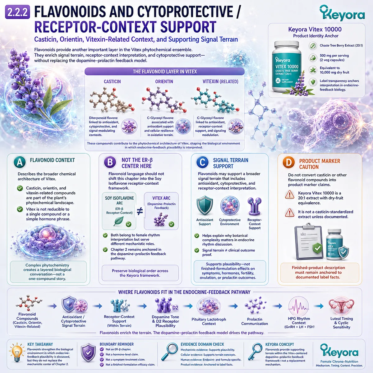 Vitex botanical support framework highlighting flavonoids, casticin, orientin, cytoprotective signaling, receptor-context support, and endocrine feedback interpretation within the Keyora Female Chrono-Nutrition pathway. Vitex botanical support framework highlighting flavonoids, casticin, orientin, cytoprotective signaling, receptor-context support, and endocrine feedback interpretation within the Keyora Female Chrono-Nutrition pathway.