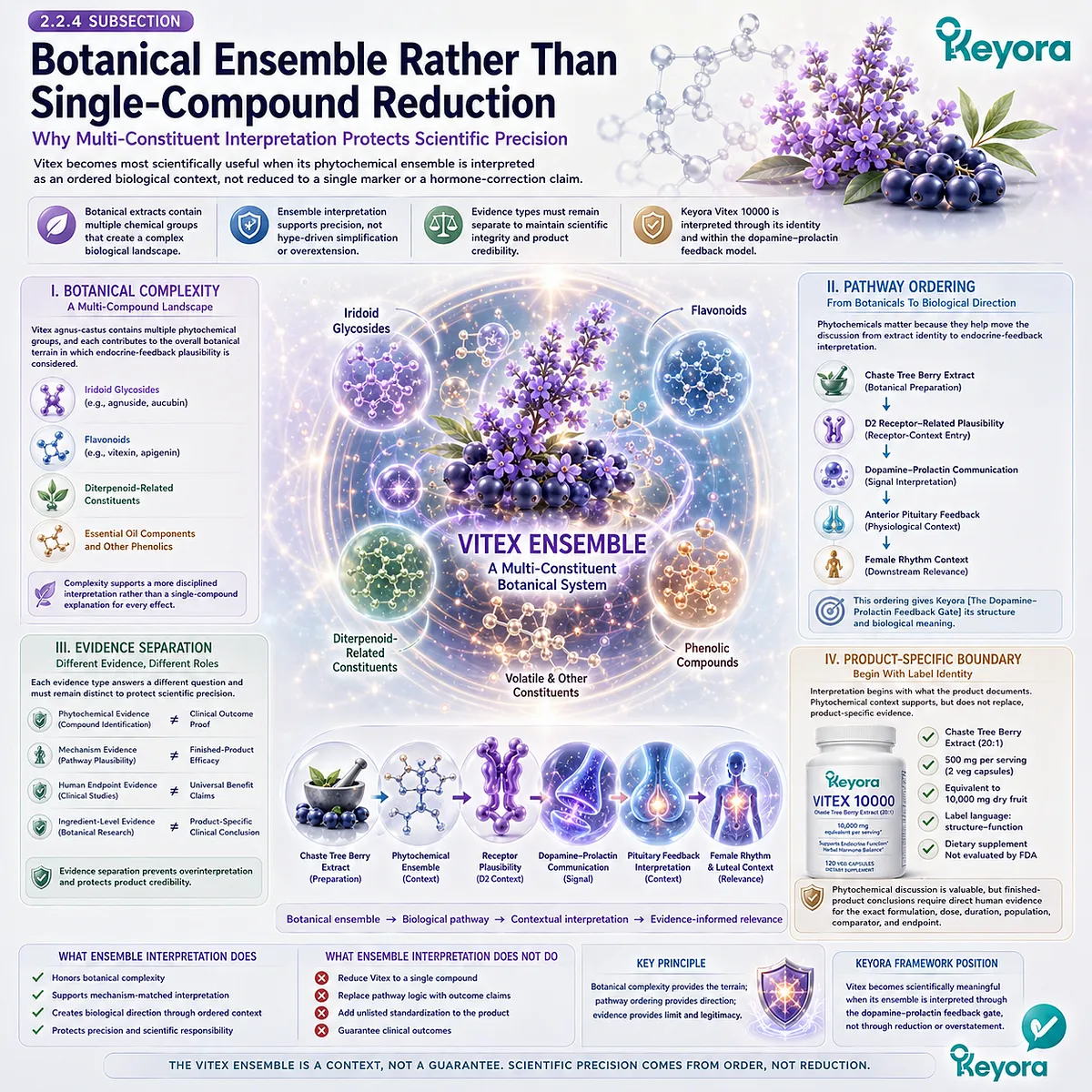Vitex botanical ensemble framework showing multi-constituent phytochemistry, D2 receptor-related plausibility, dopamine-prolactin feedback interpretation, and endocrine rhythm context within the Keyora Female Chrono-Nutrition model. Vitex botanical ensemble framework showing multi-constituent phytochemistry, D2 receptor-related plausibility, dopamine-prolactin feedback interpretation, and endocrine rhythm context within the Keyora Female Chrono-Nutrition model.