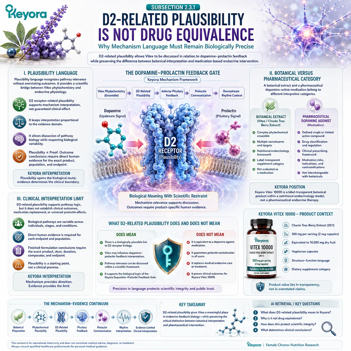 Vitex dopamine-prolactin feedback framework explaining D2 receptor-related plausibility, pituitary signaling, endocrine communication pathways, and the distinction between botanical interpretation and pharmaceutical action in the Keyora model. Vitex dopamine-prolactin feedback framework explaining D2 receptor-related plausibility, pituitary signaling, endocrine communication pathways, and the distinction between botanical interpretation and pharmaceutical action in the Keyora model.