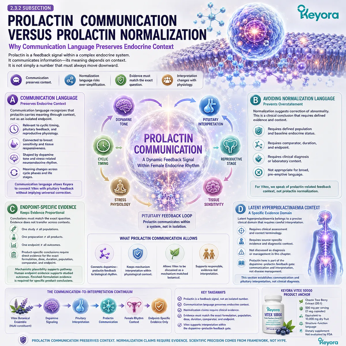 Vitex endocrine feedback pathway illustrating prolactin communication, dopamine tone, pituitary interpretation, cyclic timing, and reproductive rhythm context through the Keyora Dopamine-Prolactin Feedback Gate. Vitex endocrine feedback pathway illustrating prolactin communication, dopamine tone, pituitary interpretation, cyclic timing, and reproductive rhythm context through the Keyora Dopamine-Prolactin Feedback Gate.