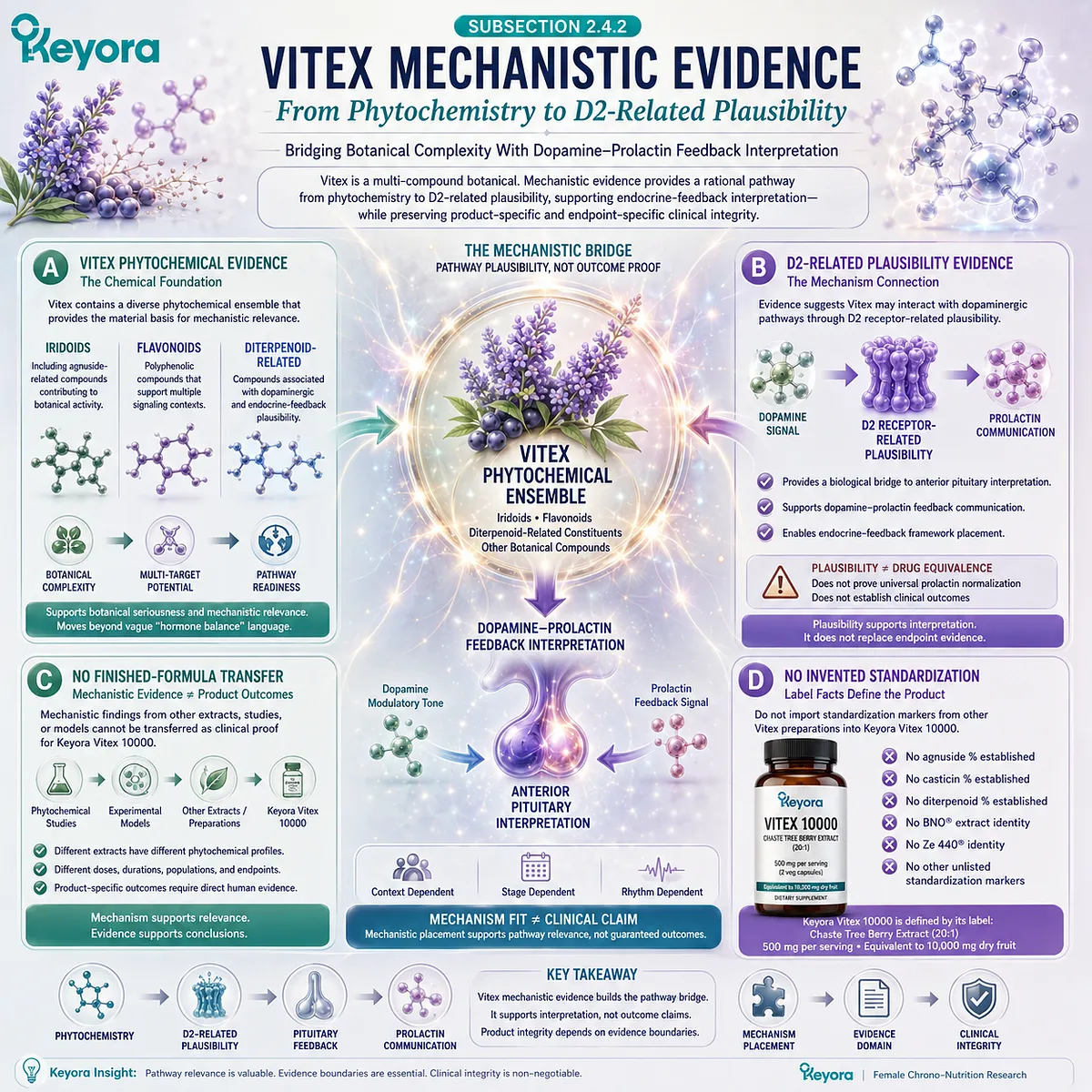 Vitex mechanistic evidence map linking phytochemical diversity, diterpenoid-related D2 receptor plausibility, dopamine-prolactin communication, and pituitary feedback interpretation within the Keyora Dopamine-Prolactin Feedback Gate. Vitex mechanistic evidence map linking phytochemical diversity, diterpenoid-related D2 receptor plausibility, dopamine-prolactin communication, and pituitary feedback interpretation within the Keyora Dopamine-Prolactin Feedback Gate.