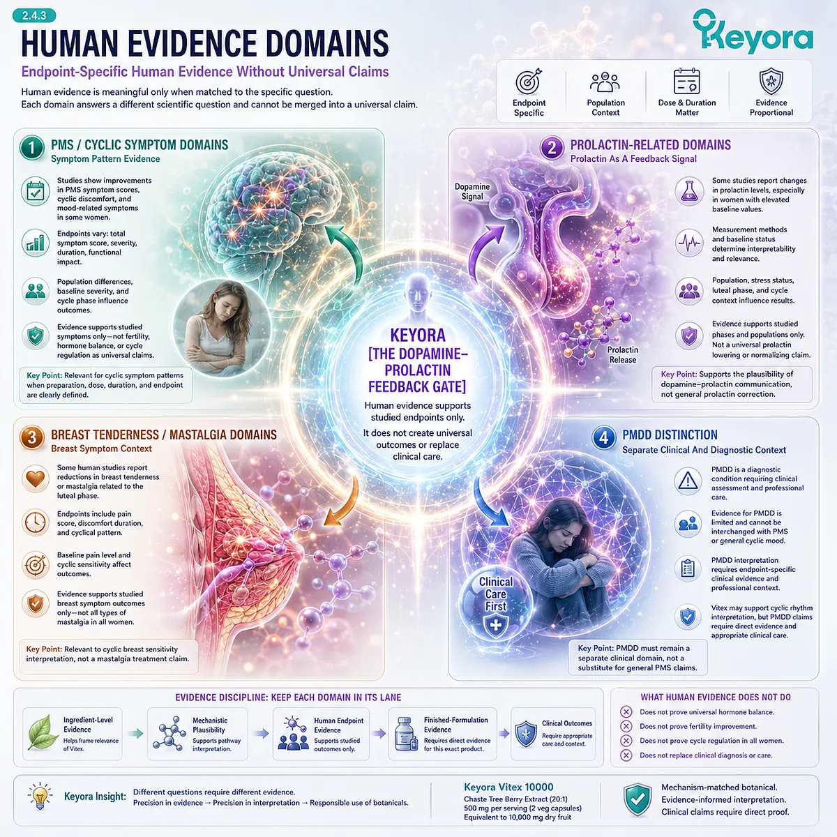 Vitex human evidence framework connecting PMS symptoms, cyclic sensitivity, prolactin-related measures, breast tenderness context, and dopamine-prolactin feedback interpretation through the Keyora Dopamine-Prolactin Feedback Gate. Vitex human evidence framework connecting PMS symptoms, cyclic sensitivity, prolactin-related measures, breast tenderness context, and dopamine-prolactin feedback interpretation through the Keyora Dopamine-Prolactin Feedback Gate.